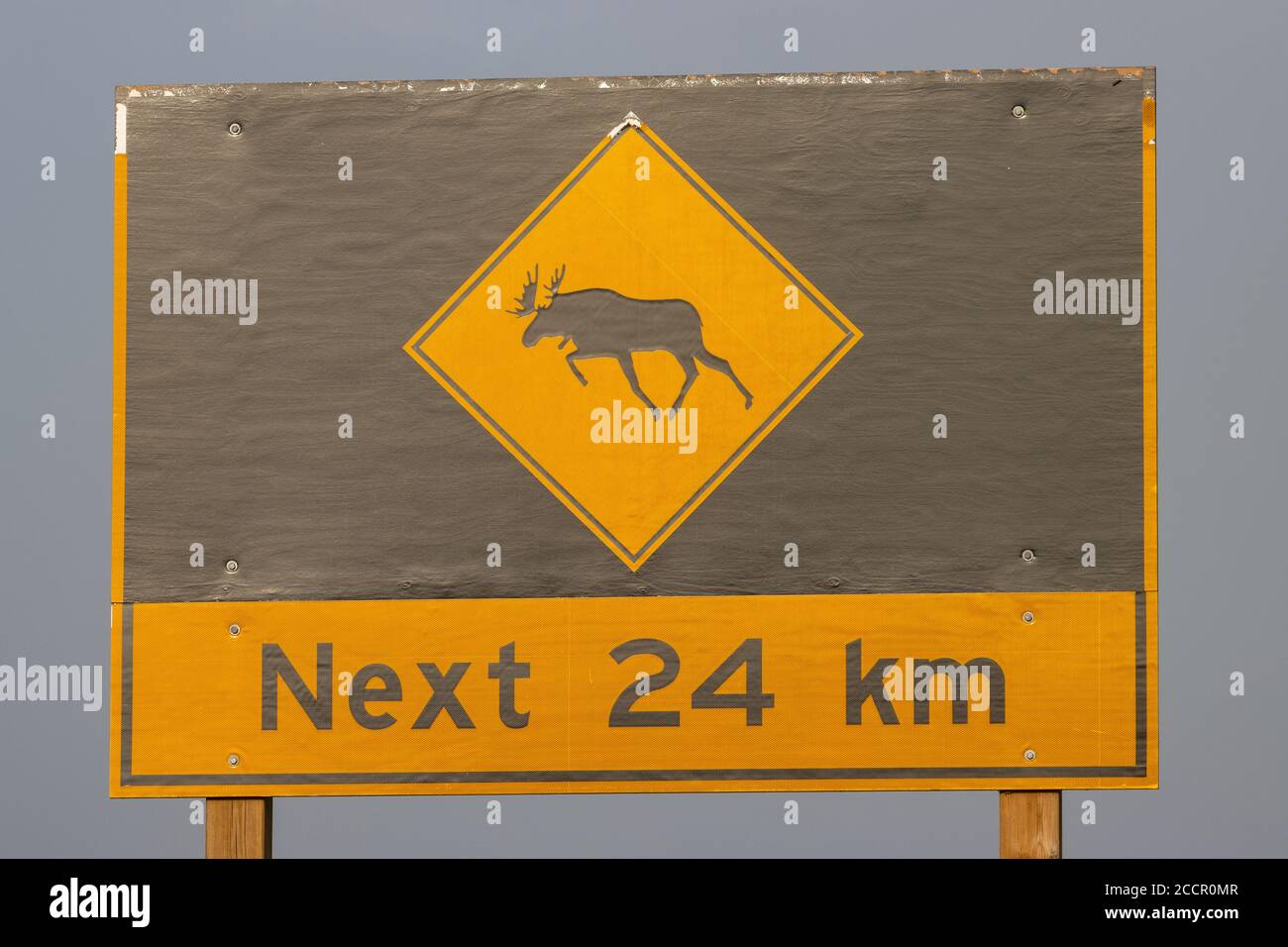 Gros plan du panneau d'avertissement pour les orignaux le long de l'autoroute dans Canada Banque D'Images