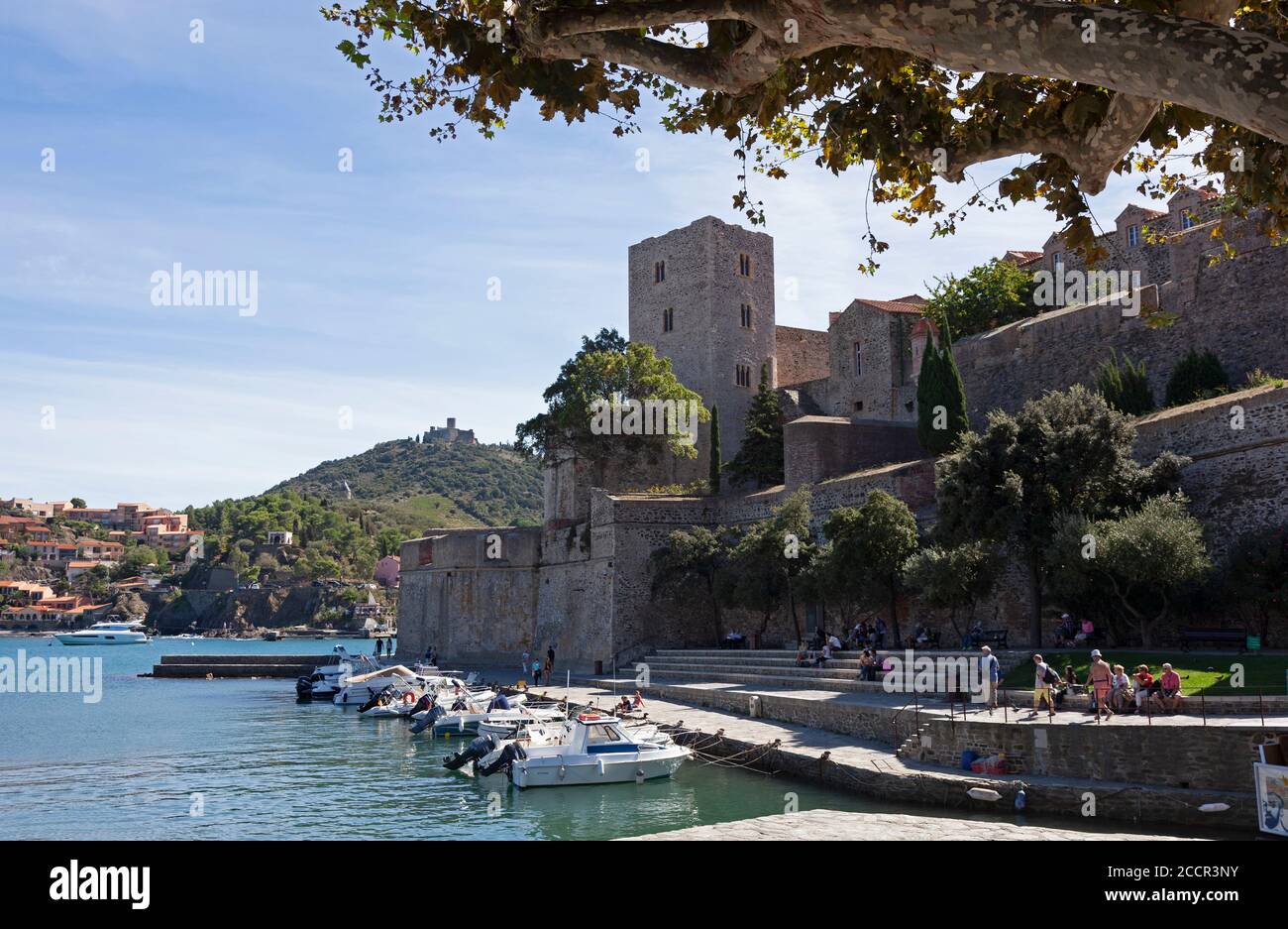 Le Château Royal de Collioure dans la station balnéaire pittoresque et le port de Collioure, dans le sud de la France Banque D'Images
