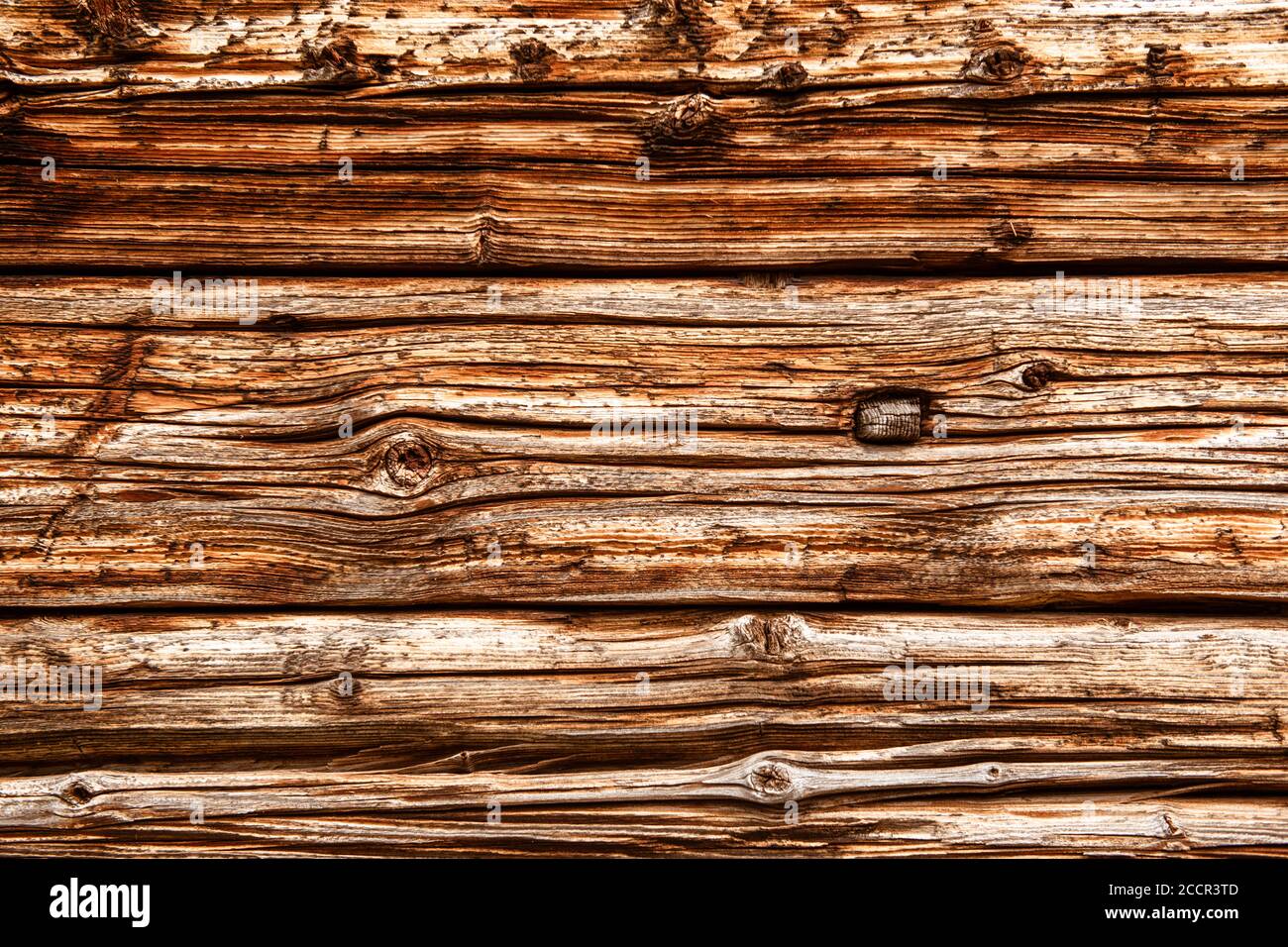 Texture du bois Banque D'Images