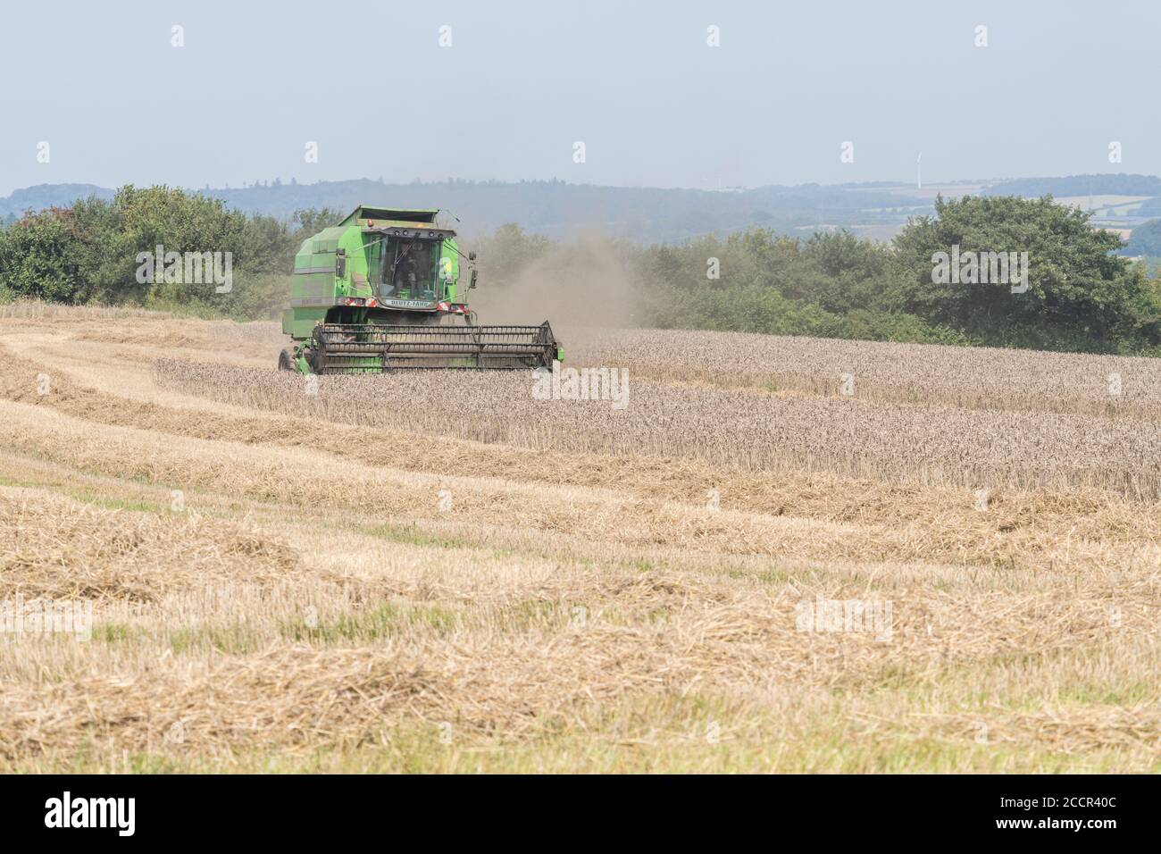 Moissonneuse-batteuse Deutz-Fahr 4065 coupe une récolte de blé 2020 au Royaume-Uni lors d'une journée chaude d'été et remplit d'air de poussière. Rabatteur à dents et cabine de l'opérateur visibles. Voir LES REMARQUES Banque D'Images