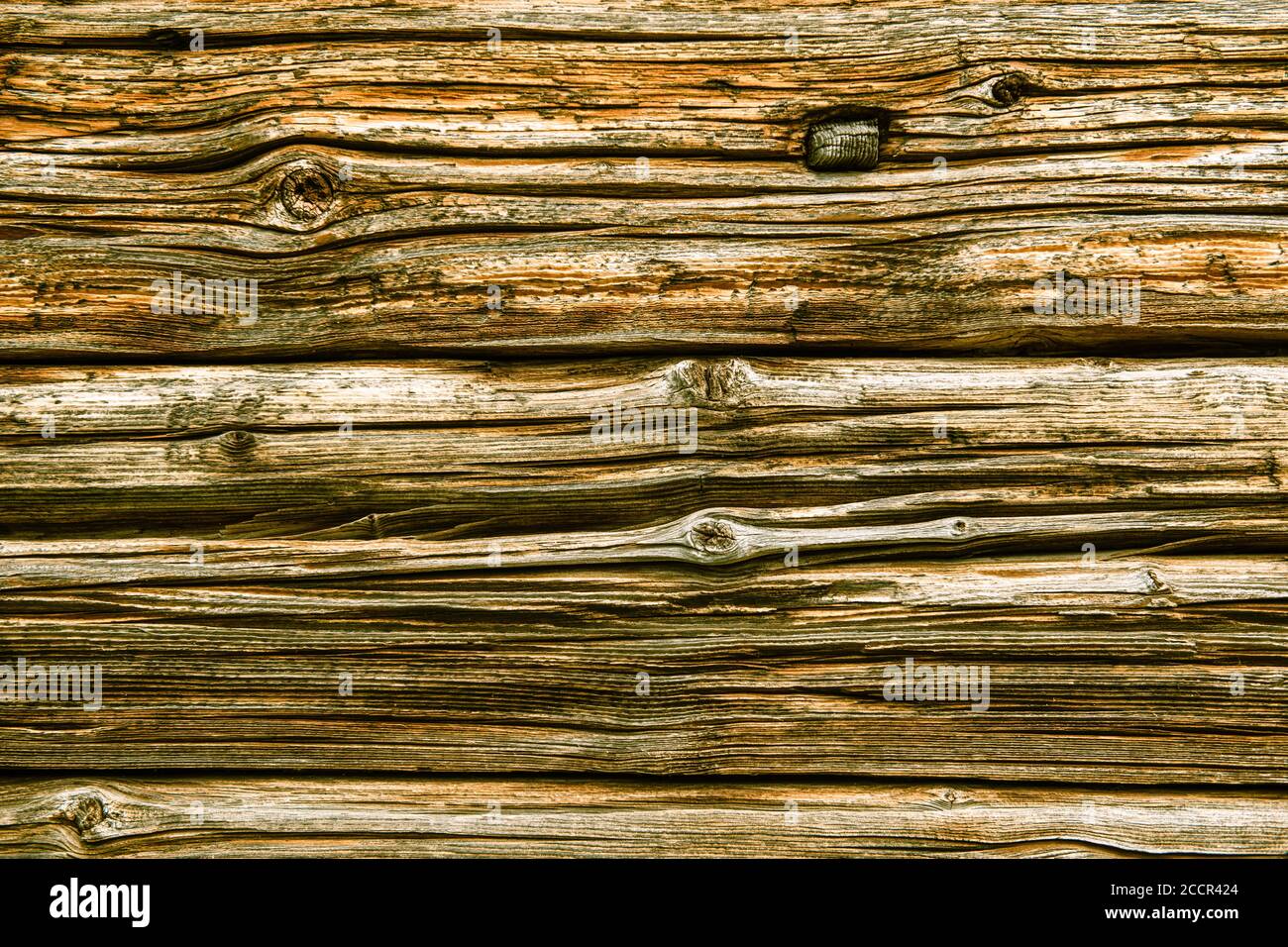 Bois détail Banque D'Images