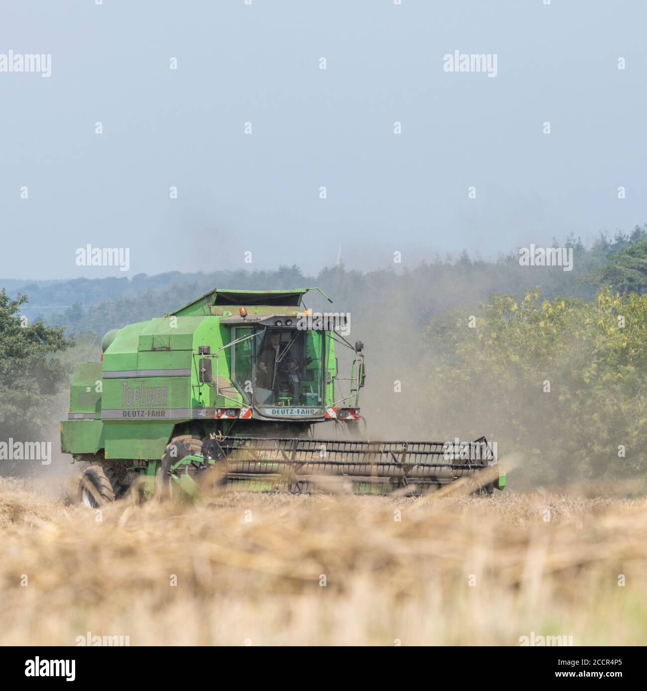 Moissonneuse-batteuse Deutz-Fahr 4065 coupe une récolte de blé 2020 au Royaume-Uni lors d'une journée chaude d'été et remplit d'air de poussière. Rabatteur à dents et cabine de l'opérateur visibles. Voir LES REMARQUES Banque D'Images