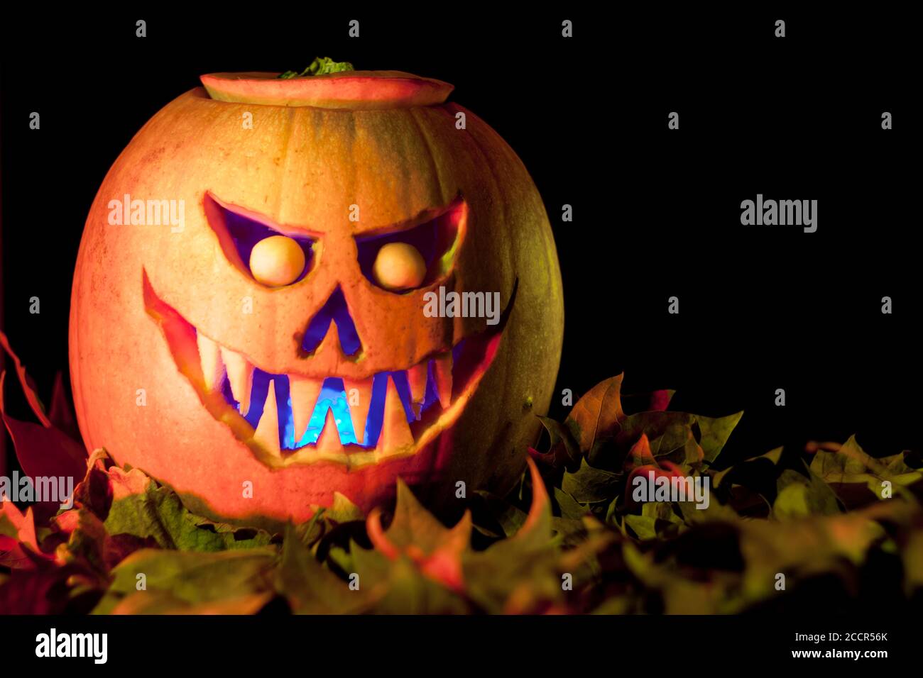Jack O'Lantern effrayant halloween citrouille sur feuilles sèches. Arrière-plan et espace de copie noirs Banque D'Images
