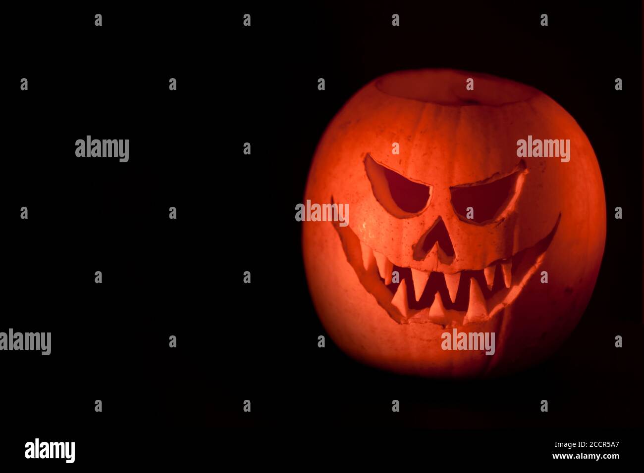 Orange effrayant Jack O'Lantern halloween citrouille sculptée sur fond noir avec espace de copie. Banque D'Images