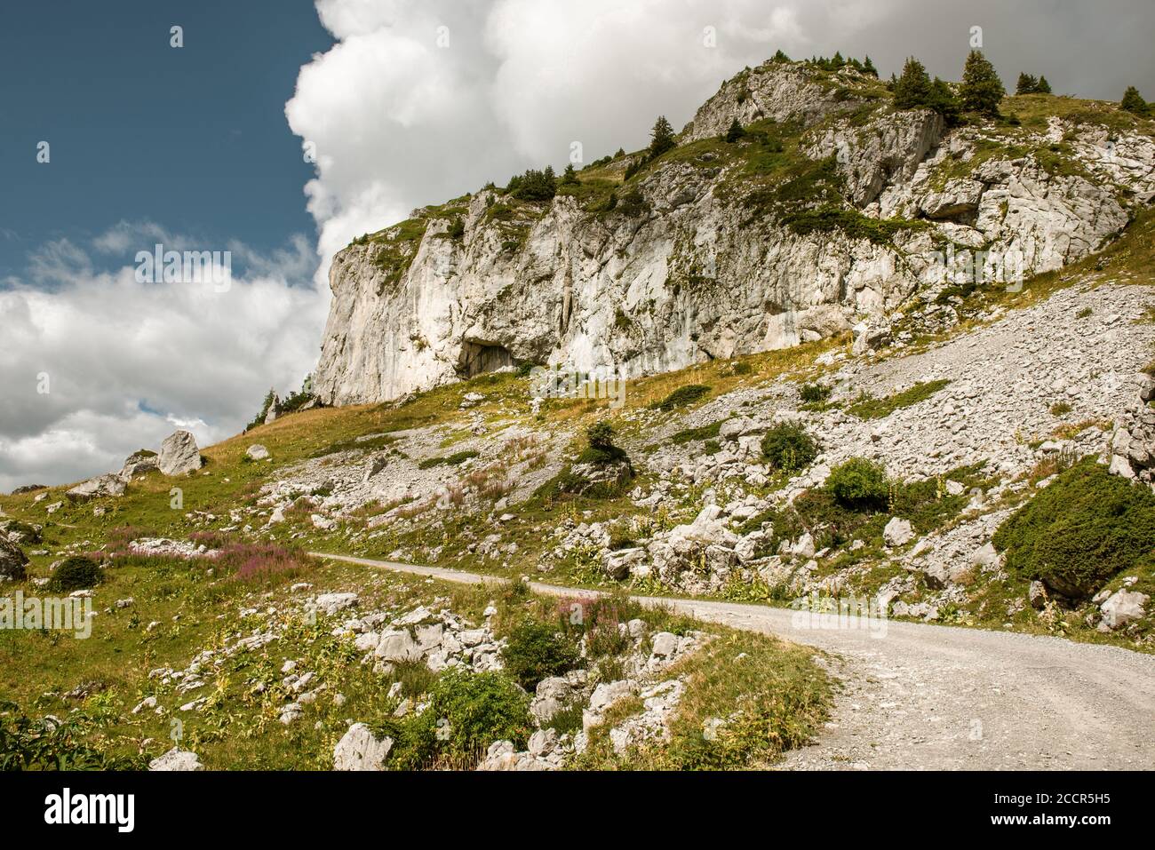 Un sentier de randonnée autour de la montagne Berneuse, en Suisse Banque D'Images