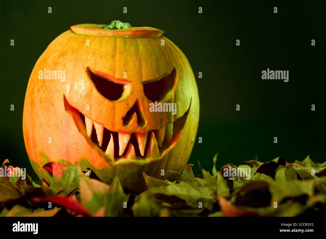 Jack O'Lantern effrayant halloween citrouille sur feuilles sèches Banque D'Images