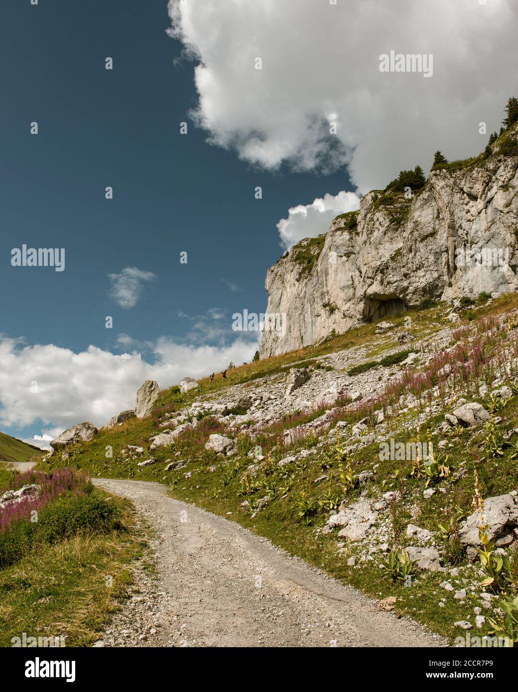 Un sentier de randonnée autour de la montagne Berneuse, en Suisse Banque D'Images