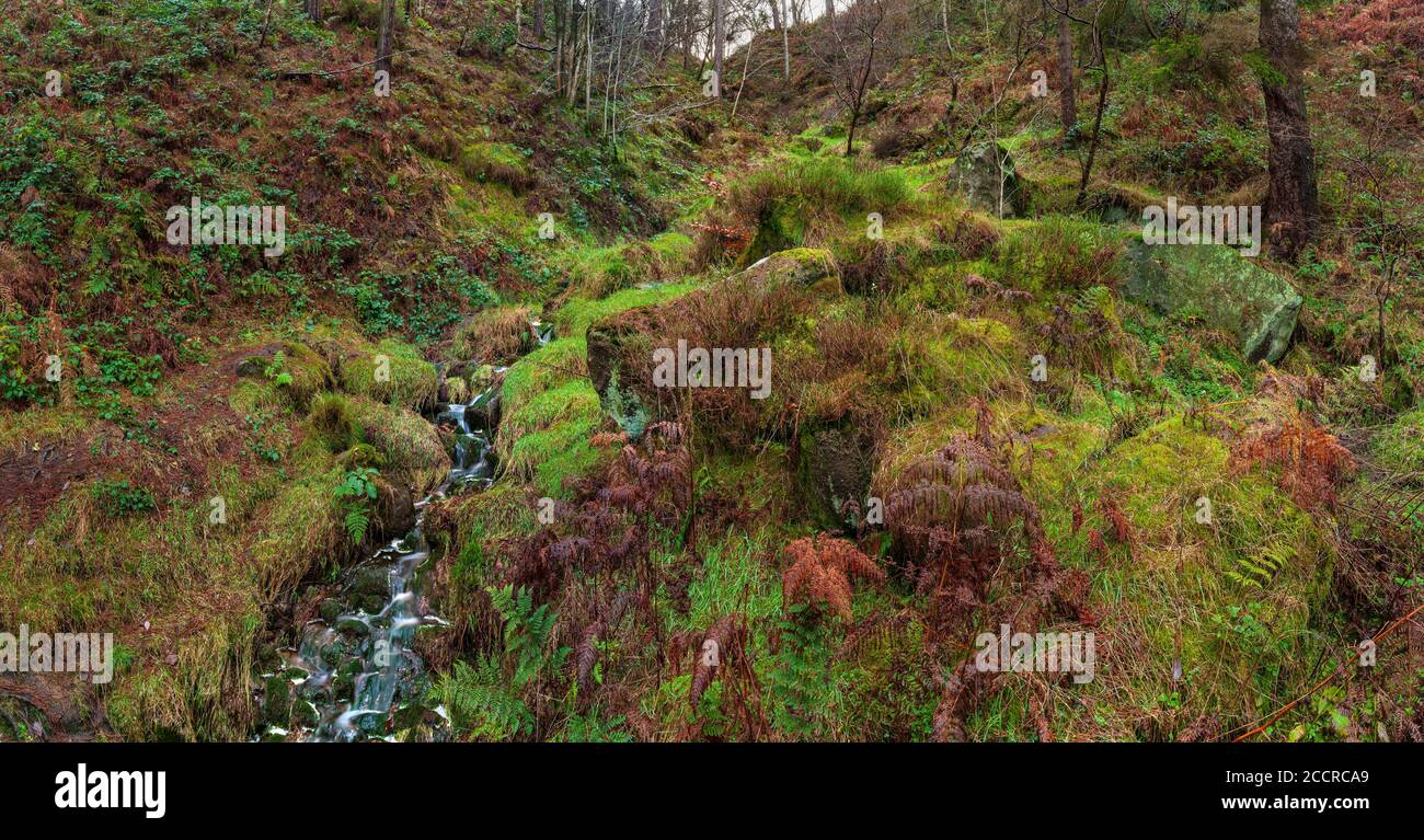 Photo panoramique d'un petit ruisseau descendant sur une pente raide à la réserve naturelle de Wyming Brook, près de Sheffield, Royaume-Uni Banque D'Images