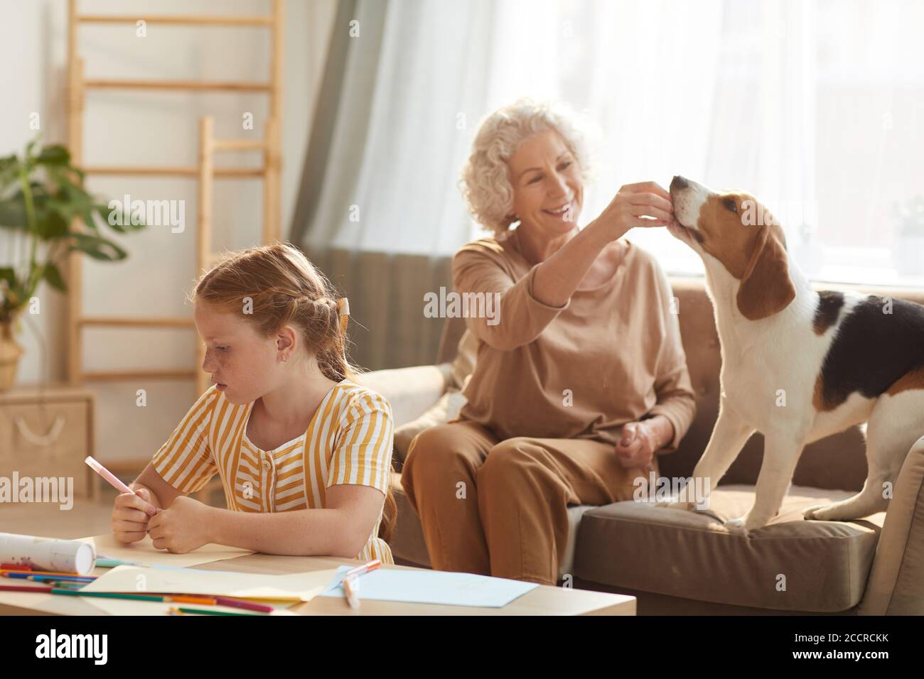 Portrait aux tons chaleureux d'une scène familiale tranquille avec une femme âgée jouer avec le chien et mignonne rouge cheveux fille dessin images à côté d'elle dans un intérieur confortable Banque D'Images