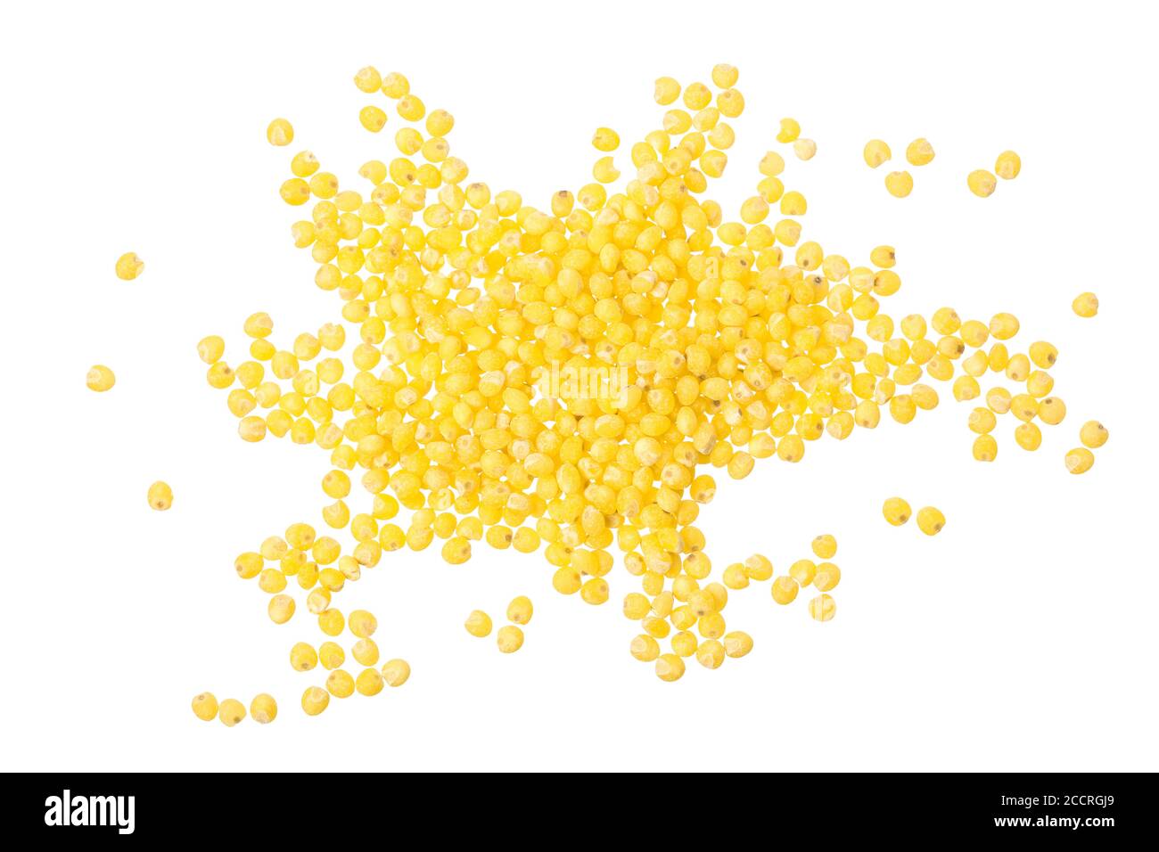 Millet isolé sur fond blanc. Vue d'en haut Banque D'Images