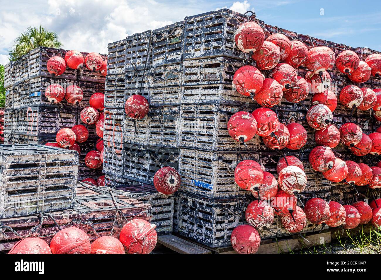 Everglades City Florida, Grimm's Stone Crab Market, crabiers, ressource durable, pièges, visiteurs voyage visite touristique site touristique Banque D'Images