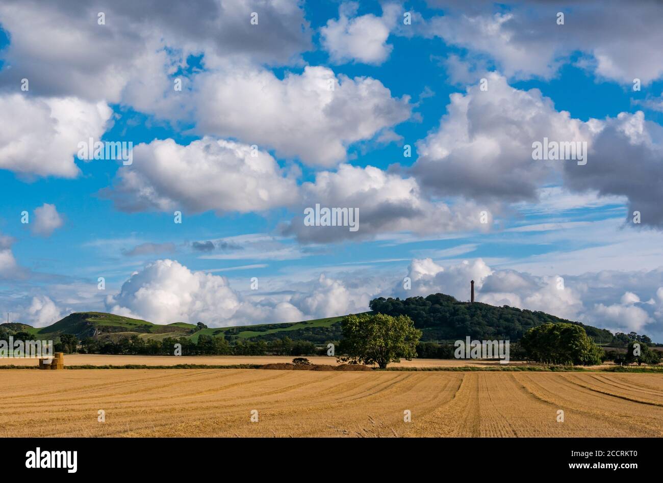 Vue à travers le champ de chaume de récolte jusqu'au monument Hopetoun sur Byres Hill, East Lothian, Écosse, Royaume-Uni Banque D'Images