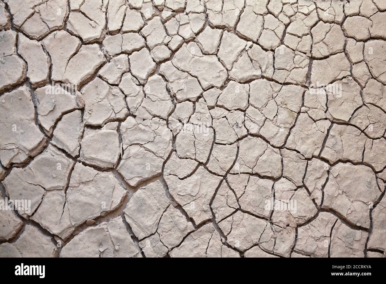 Texture de fond de la boue fendue craquée terre de terre causée par photo de stock de sécheresse d'été Banque D'Images