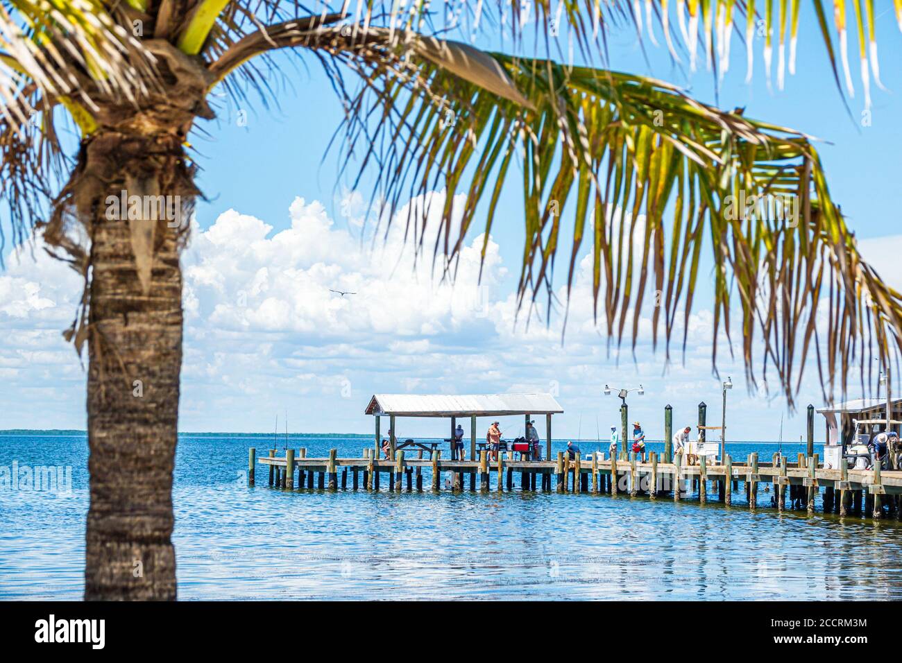 Pine Island Florida,Bokeelia,Gasparilla Sound,Golfe du Mexique,front de mer,quai de pêche,palmiers, visiteurs voyage visite touristique la Banque D'Images