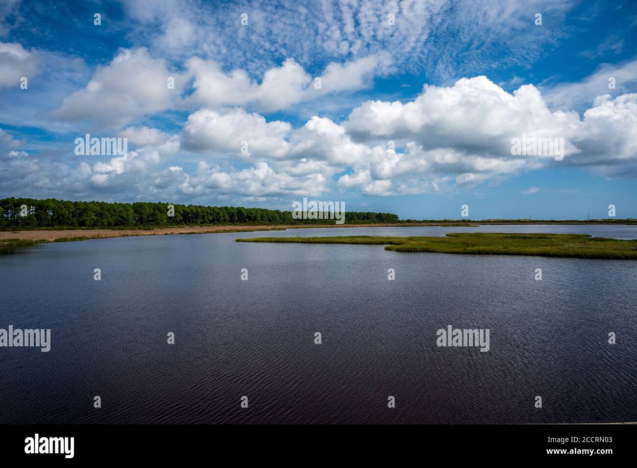 Marais près du phare de l'île Bodie à Nags Head, en Caroline du Nord Banque D'Images
