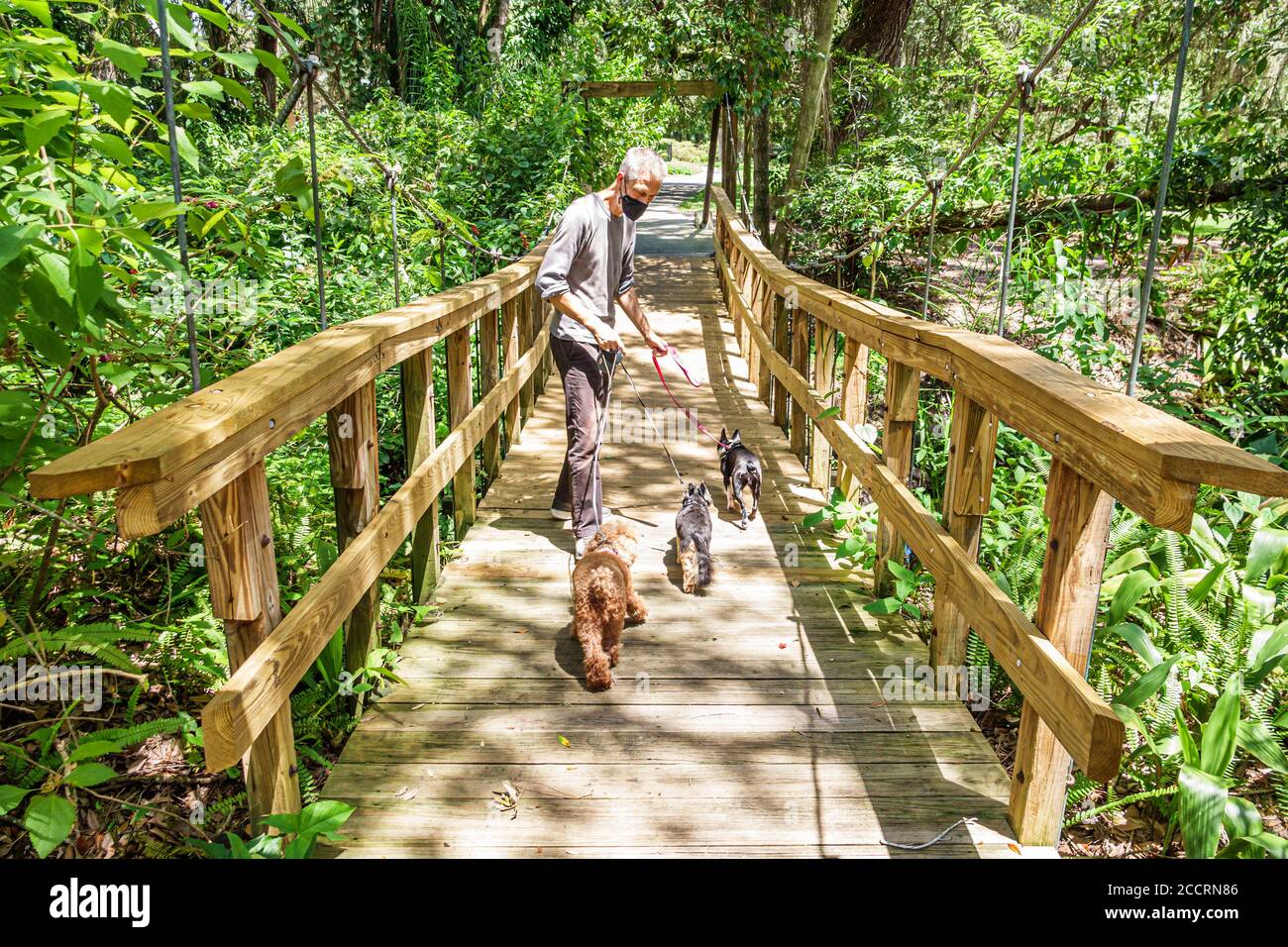 Orlando Floride, Lake Lawsona quartier historique, Dickson Azalea Park, Carl T. Langford Park, Rosearden Drive, végétation luxuriante, ombre, parc public espace vert Banque D'Images