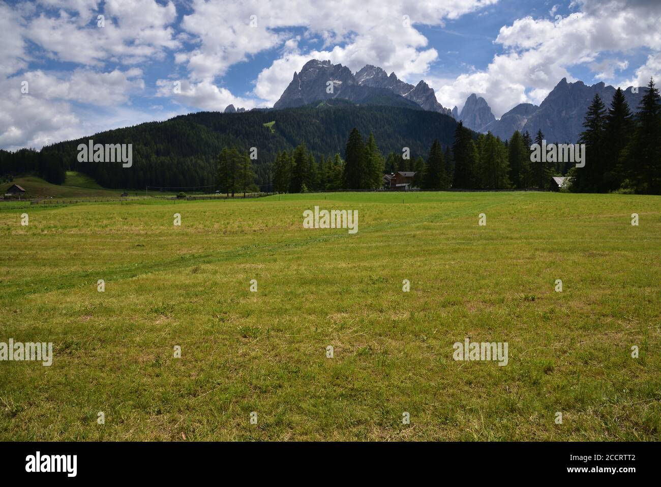 Depuis les prés du village de Moso, vue sur les Dolomites du Val Fiscalina avec la Costone della Croda Rossa et Cima Uno Banque D'Images