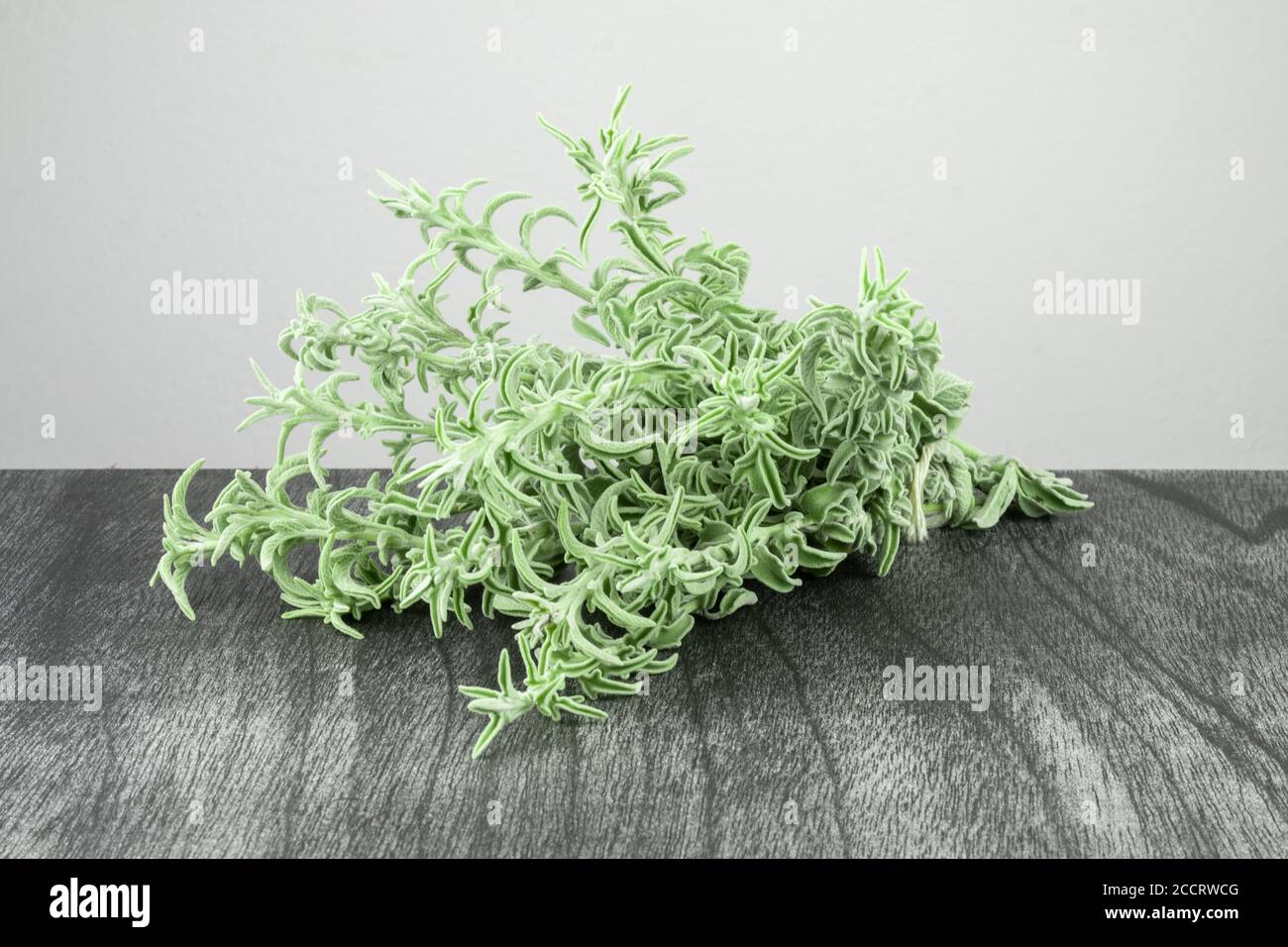 Bouquet de sauge fraîche sur une table en bois sombre. Herbe de sauge verte pour le thé. Branches et feuilles de sauge sur fond gris. Salvia officinalis. Copier l'espace pour tex Banque D'Images