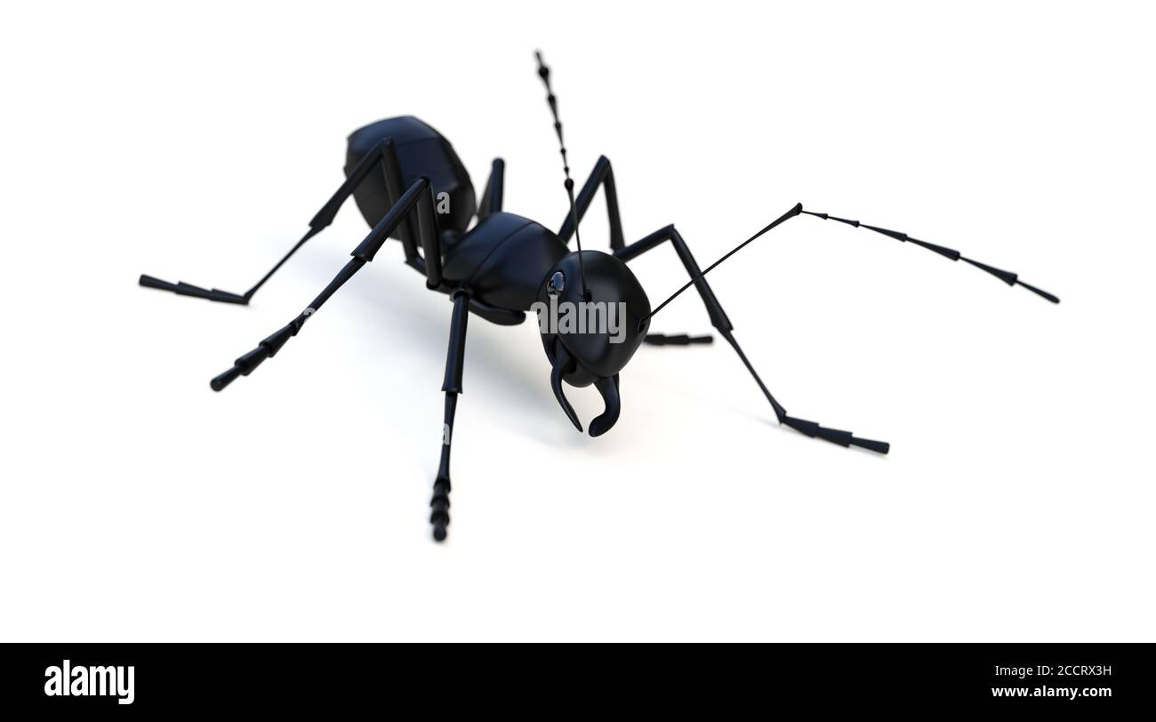 ant sur fond blanc rendu 3D Banque D'Images