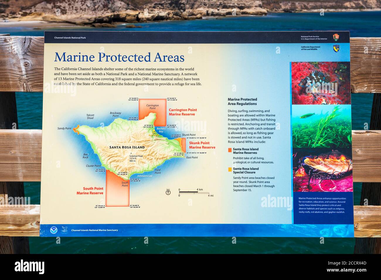 Panneau d'interprétation pour les aires marines protégées de l'île Santa Rosa, parc national des îles Anglo-Normandes, Californie, États-Unis Banque D'Images