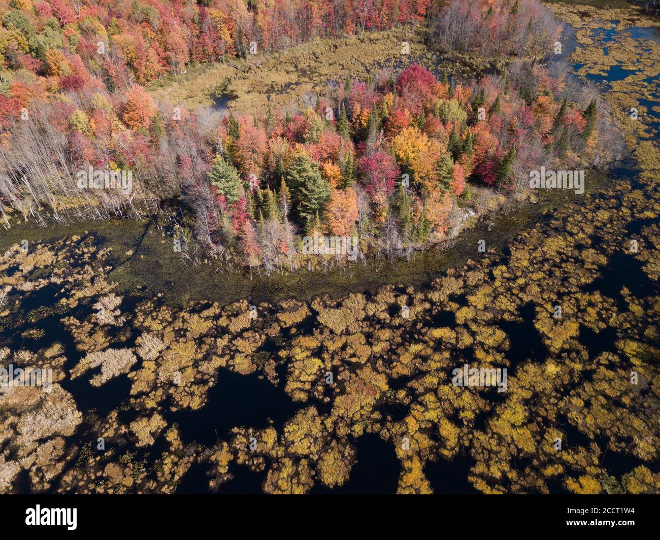 Couleurs d'automne dans le lac par drone Banque D'Images