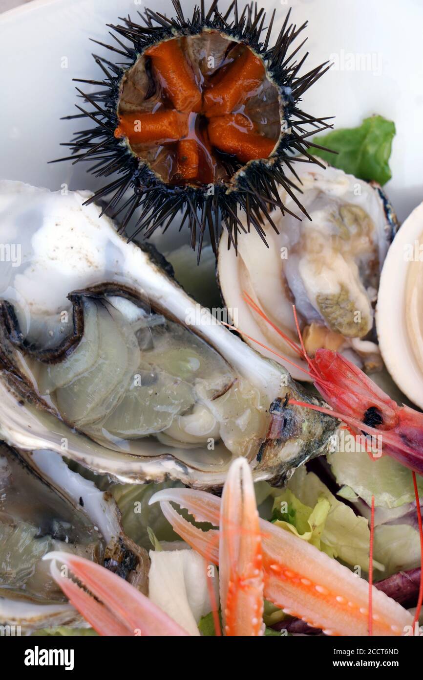 Plat à Fruits De Mer Wilton Collection - Homard Et Coquillages - Argenté