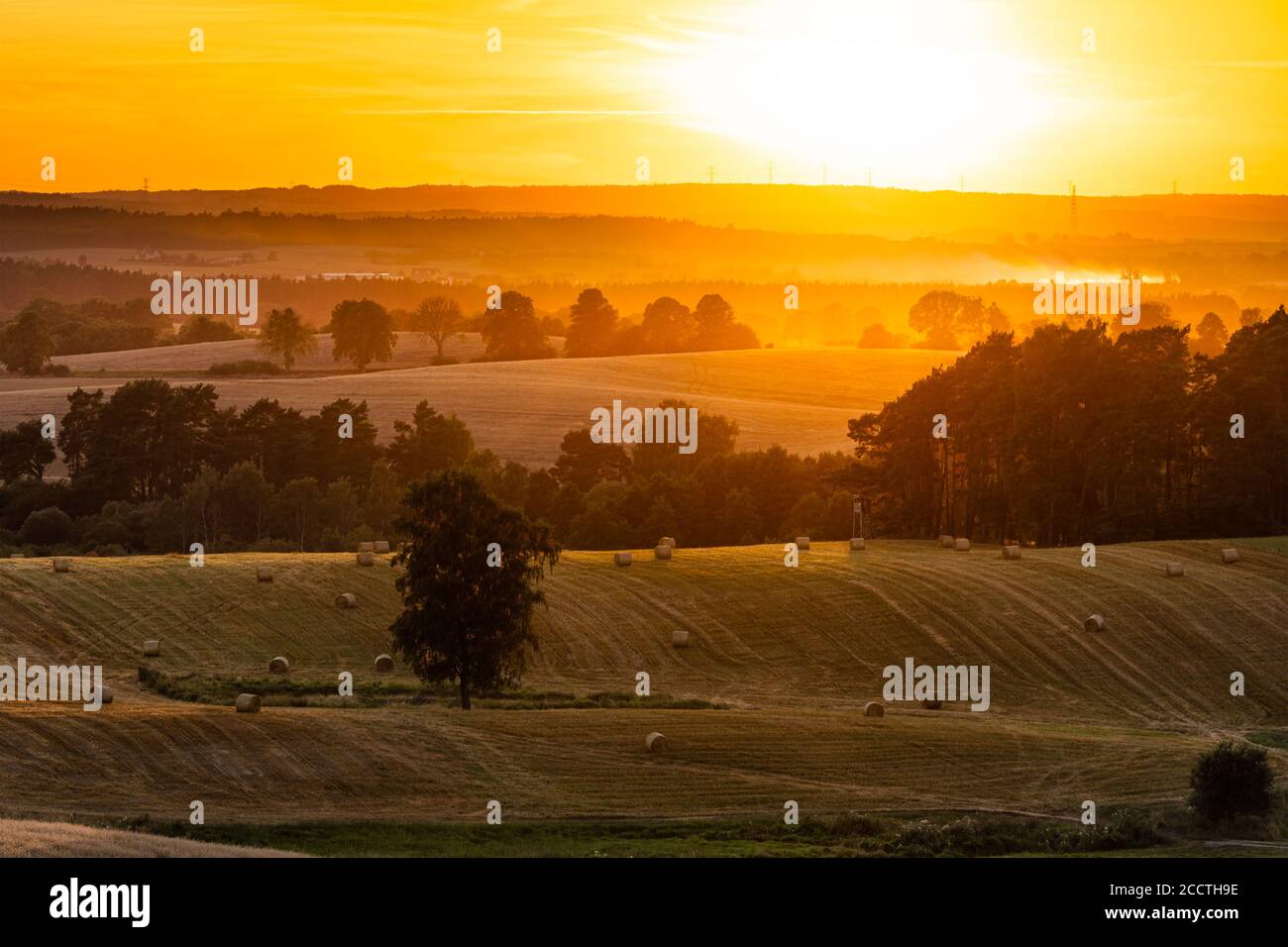 Coucher de soleil sur les champs ruraux avec lumière dorée. Crépuscule dans la campagne. Banque D'Images