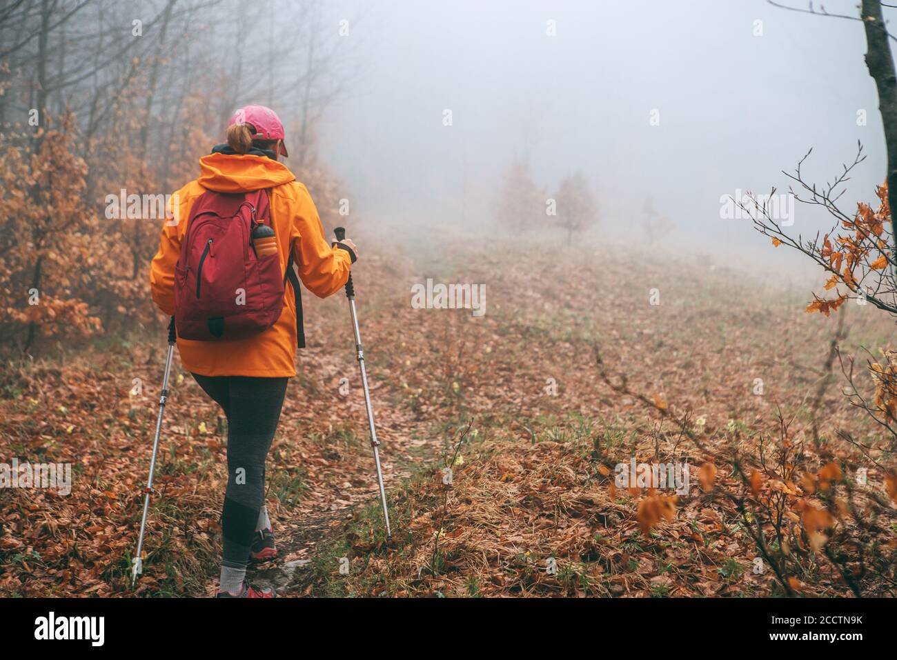Vêtu d'une veste orange vif jeune femme routard marchant sur le chemin touristique en utilisant des bâtons de randonnée dans la forêt brumeuse d'automne. Des personnes actives et des autres Banque D'Images