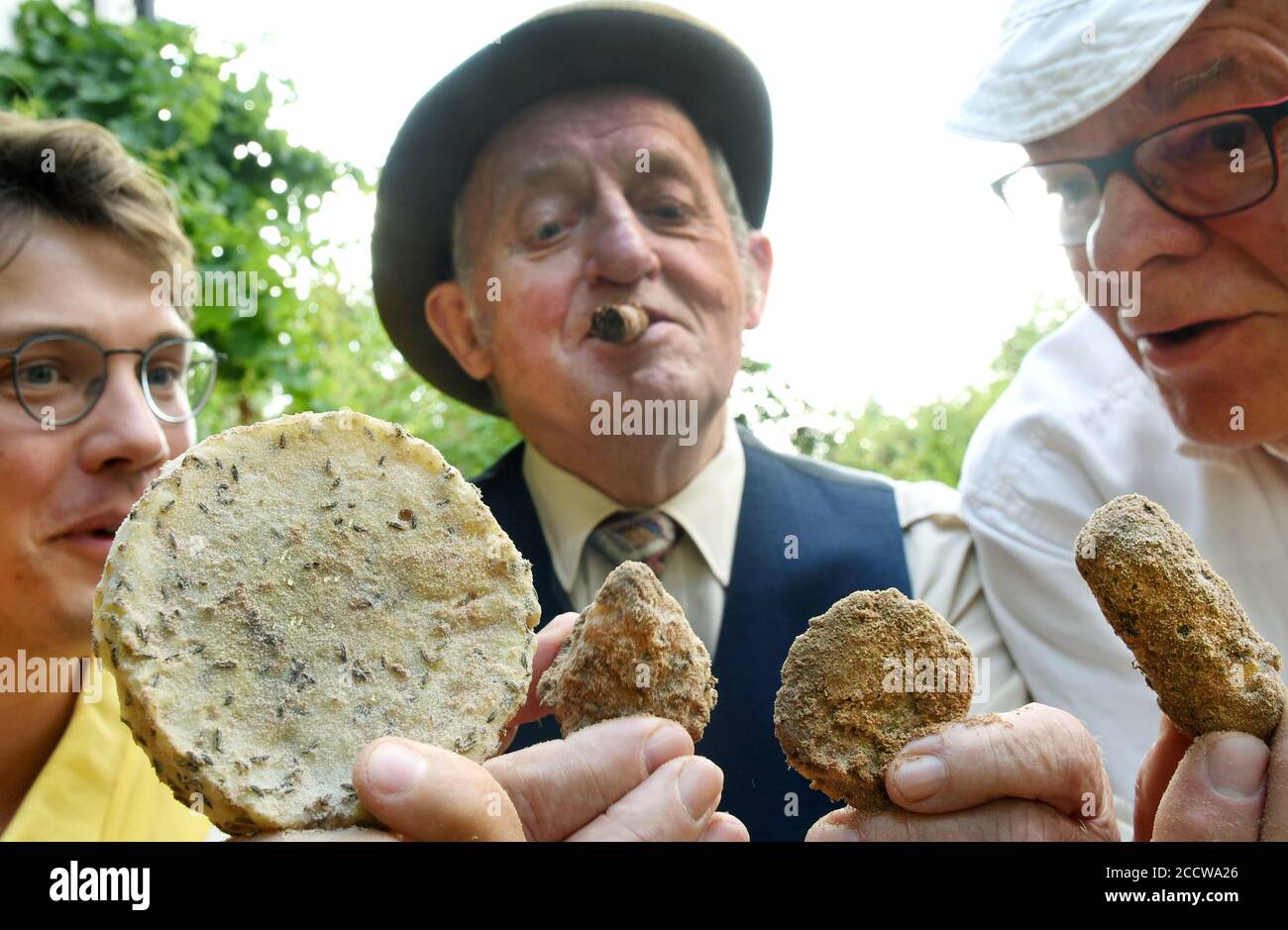 19 août 2020, Saxe-Anhalt, Würchwitz: En tant qu'ambassadeur du fromage en boîte, Friedrich-Karl Steinbach, 84 ans, qui joue le crook Egon dans les films Würchwitzer Olsenbande, teste divers types de fromage en acarien dans l'usine de fromage en acarien et le musée, en collaboration avec le professeur de biologie Pöschel (r) et le méli Helmut Christian Scholl Christian Scholzer. Le « fromage le plus vivant du monde », composé de fromage à la crème ou de lait caillé et mûrit pendant de nombreux mois avec environ 10,000 acariens dans des caisses en bois, est apprécié par les gourmets du monde entier et fait l'objet à plusieurs reprises d'une réarse scientifique Banque D'Images