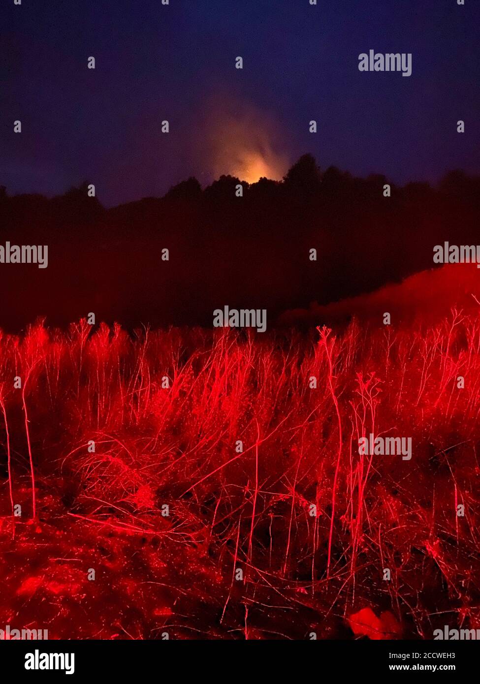 Santa Cruz/Davenport, Californie, États-Unis. 23 août 2020. Les feux rouges d'éclairage de secours de véhicule s'allument en rouge tandis que le feu d'éclairement CZU brûle au loin, comme vu du monument national de Cotoni-Coast Dairies, près de Davenport dans le comté de Santa Cruz. Selon le Bureau de la gestion des terres Michael D. Chiodini, le feu est très lentement en train de manger vers le haut de la sous-croissance et se comporte comme il l'espérait: Cette situation et la brûlure contrôlée que son équipe a fait cette semaine devraient empêcher l'incendie de se rapprocher de la HWY 1 et des zones plus peuplées, comme Santa Cruz. Crédit : Amy Katz/ZUMA Wire/Alay Live News Banque D'Images