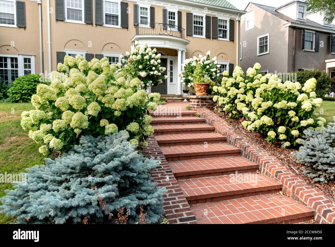 De belles marches en briques et un trottoir bordé d'hortensias et d'arbustes à feuilles persistantes menant à l'entrée d'une maison. St Paul Minnesota MN États-Unis Banque D'Images