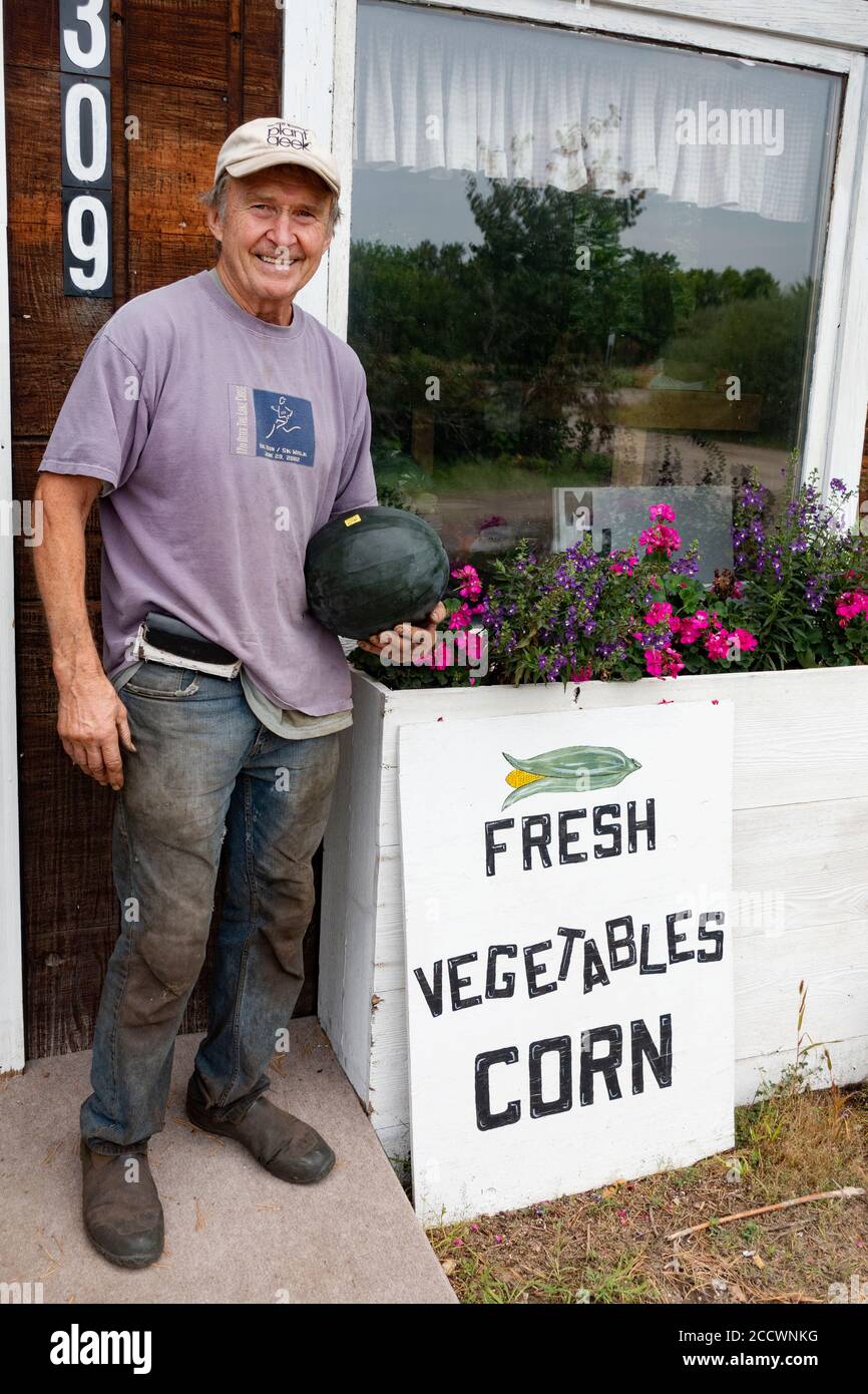 Propriétaire de la cabane à légumes ouvert pour l'achat en saison veggies sur le système d'honneur. Battle Lake Minnesota, États-Unis Banque D'Images