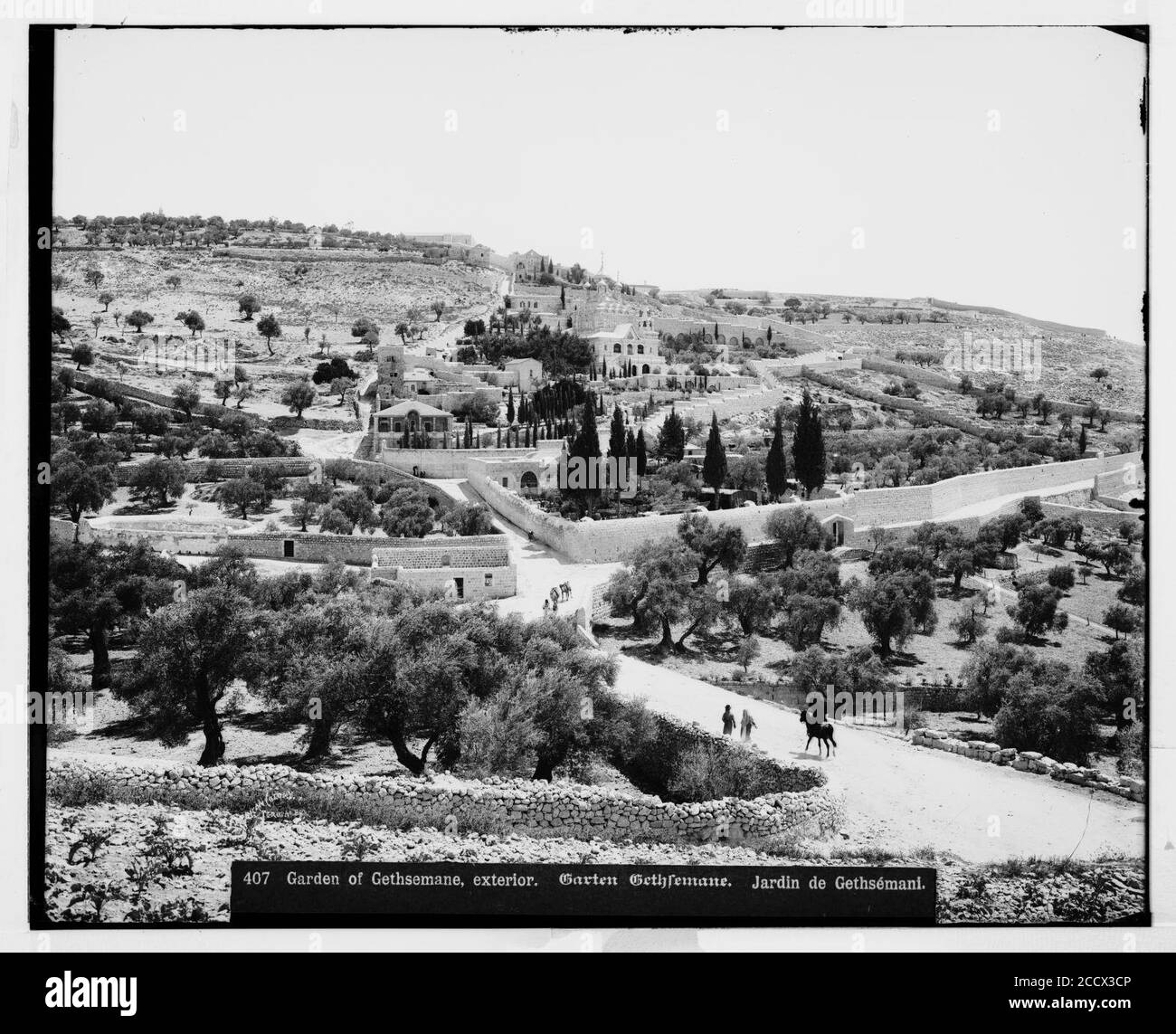 Jérusalem (El-Kouds). Jardin de Gethsémané, extérieur Banque D'Images