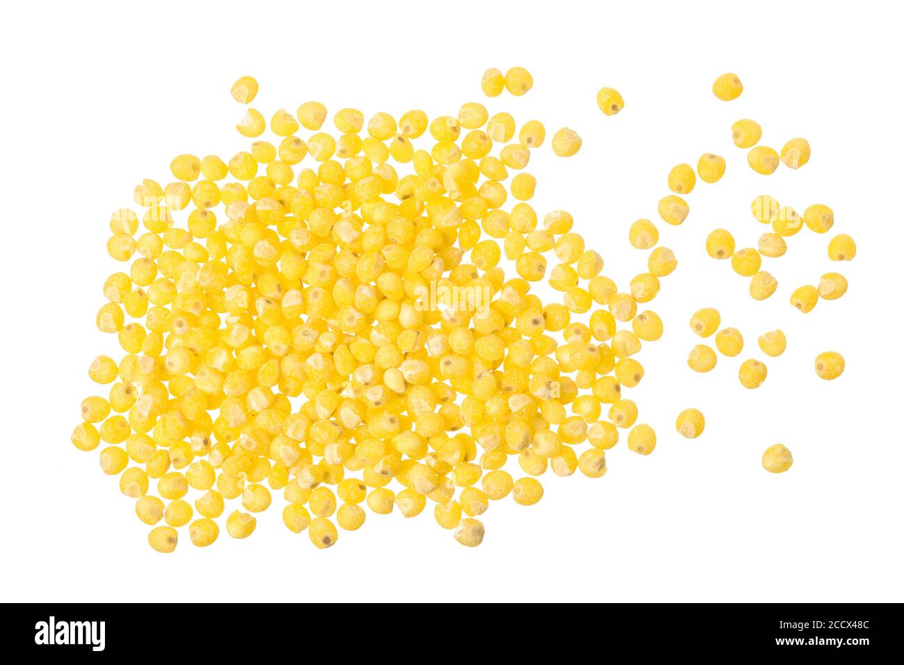Millet isolé sur fond blanc. Vue d'en haut Banque D'Images