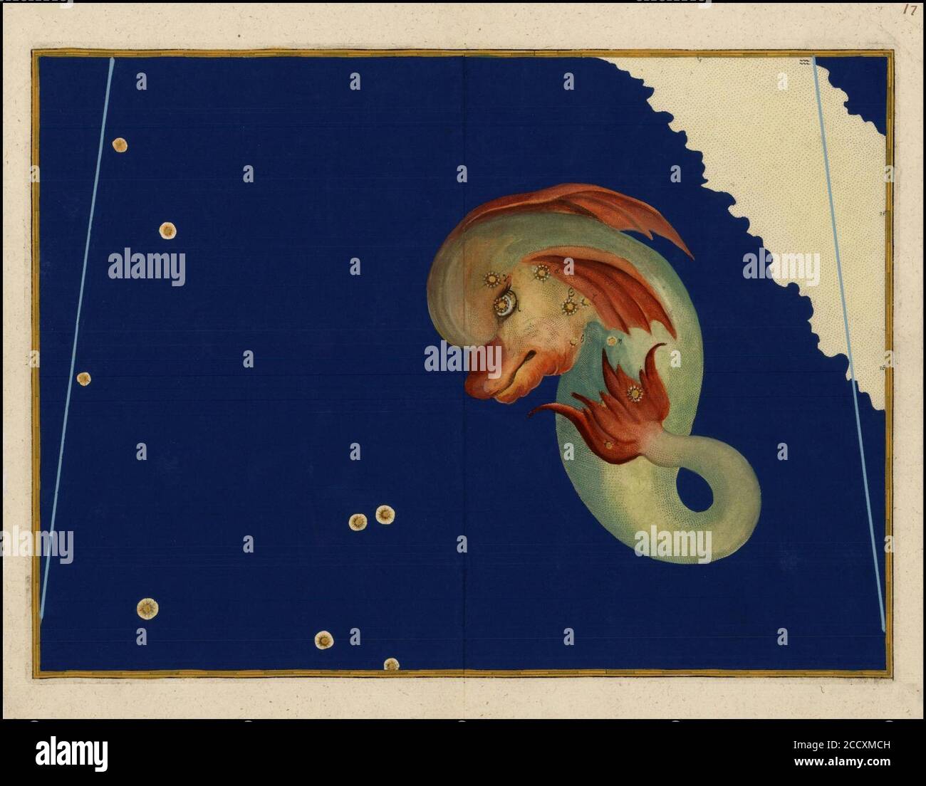 Johann Bayer - Delphinus. Banque D'Images