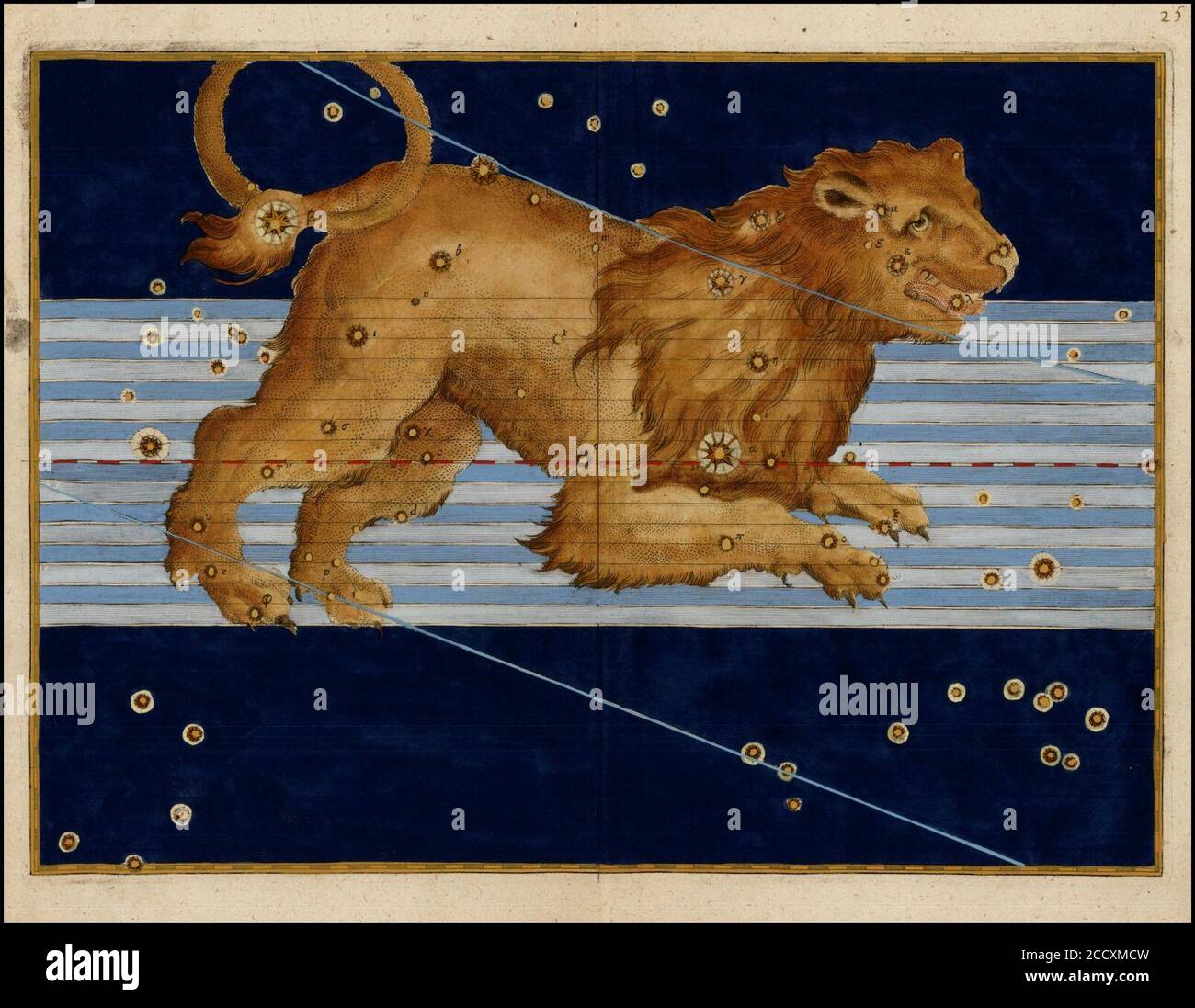 Johann Bayer - Léo. Banque D'Images