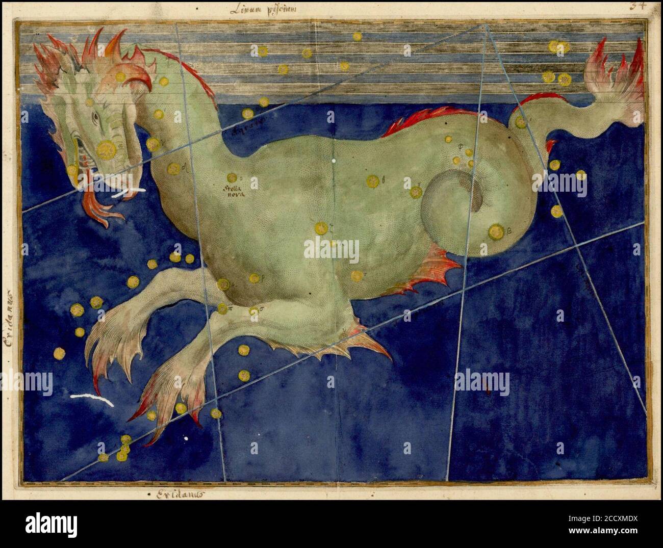 Johann Bayer -- Cetus. Banque D'Images