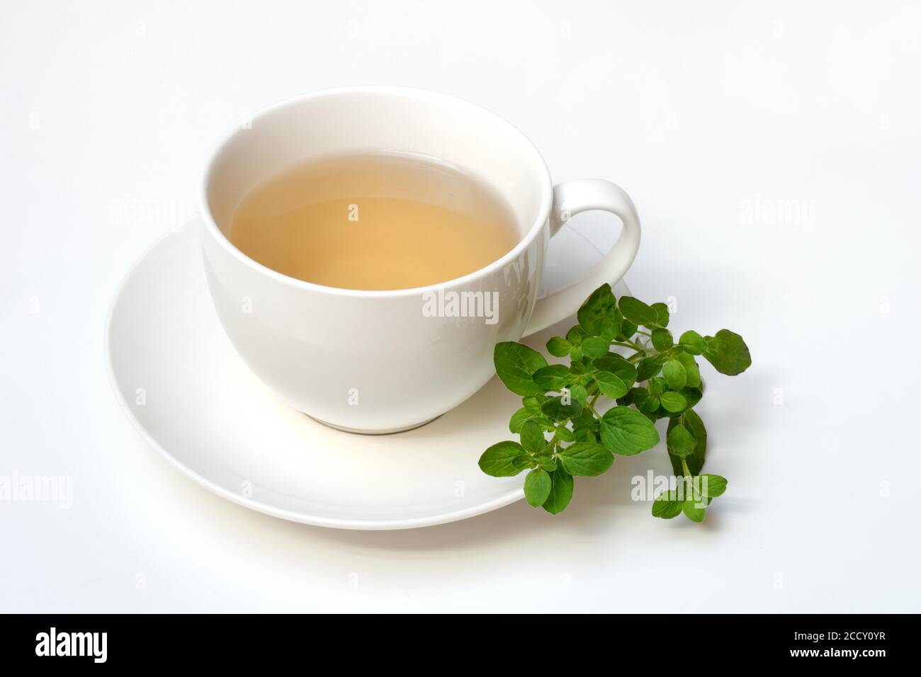 Thé d'origan en tasse et feuilles d'origan fraîches, Allemagne Banque D'Images