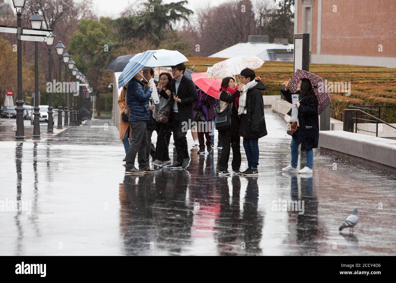 Les touristes japonais avec des parasols quittent le musée du Prado vers Bus un dimanche pluvieux à Madrid Banque D'Images