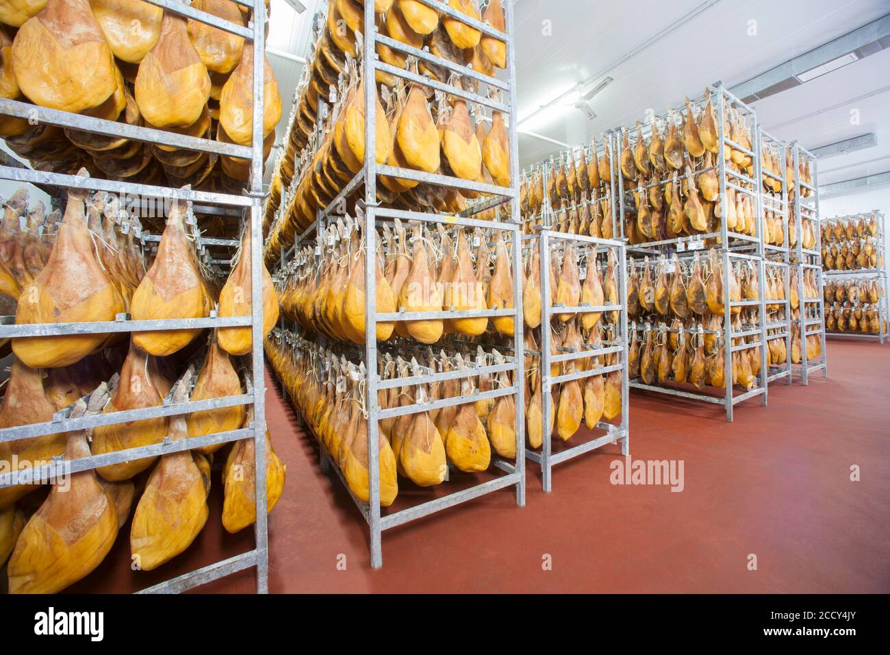 Salle de stockage avec jambon cru, usine de Cantimpalos, province de Segovia, Espagne Banque D'Images