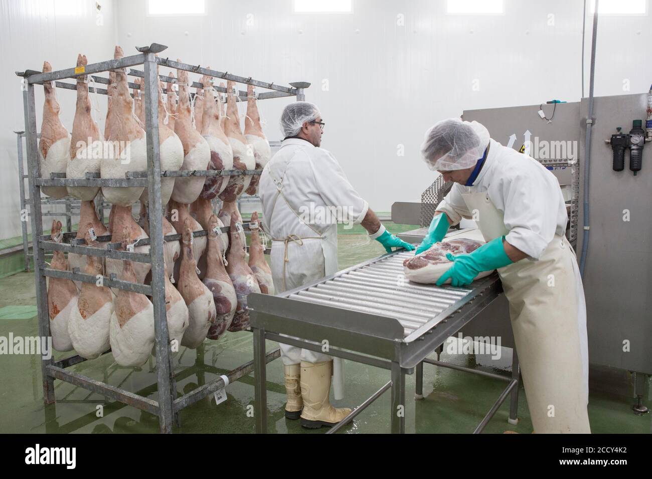 Agents de contrôle de la qualité du jambon cru, usine de Cantimpalos, province de Segovia, Espagne Banque D'Images