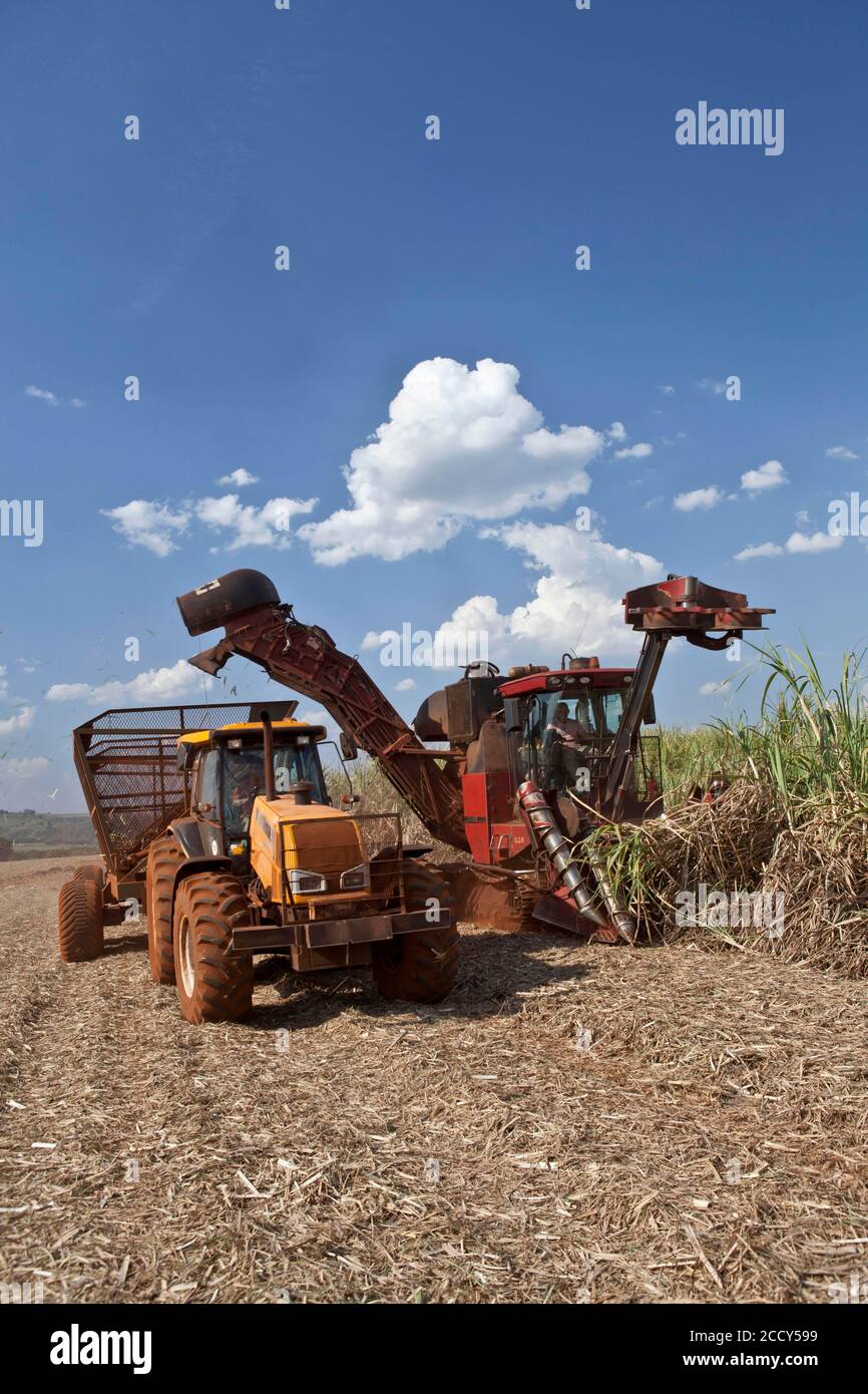 Récolte mécanisée de canne à sucre, Sao Paulo, Brésil Banque D'Images