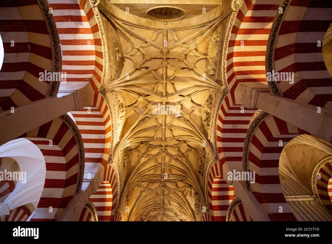 Plafond en stuc du portique avec arches rondes, style mauresque, salle de prière de l'ancienne mosquée, Mezquita-Catedral de Cordoue ou Cathédrale de la Banque D'Images