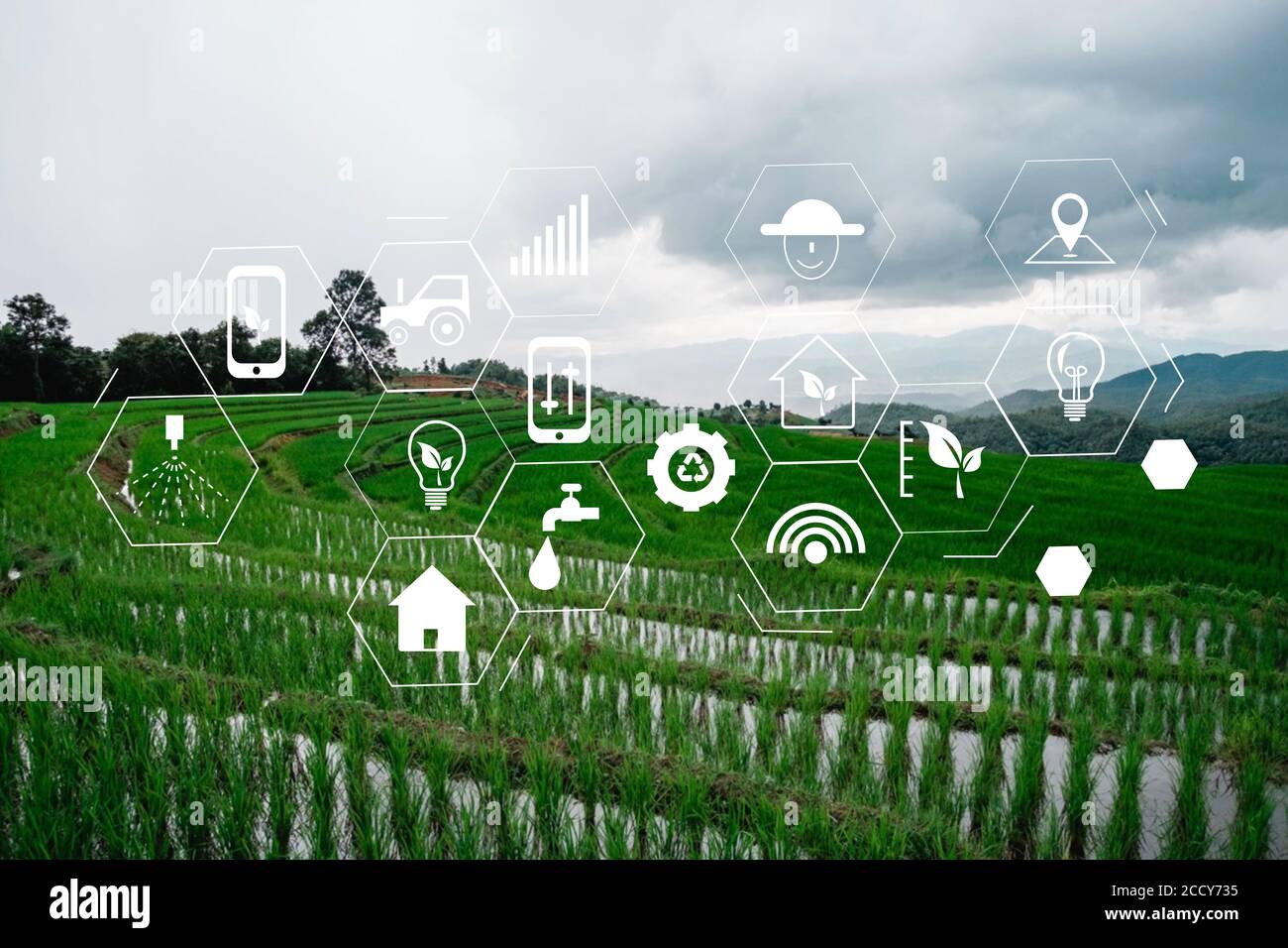 concept de technologie agricole homme Agronomist utilisant une tablette Internet de rapport sur les choses Banque D'Images