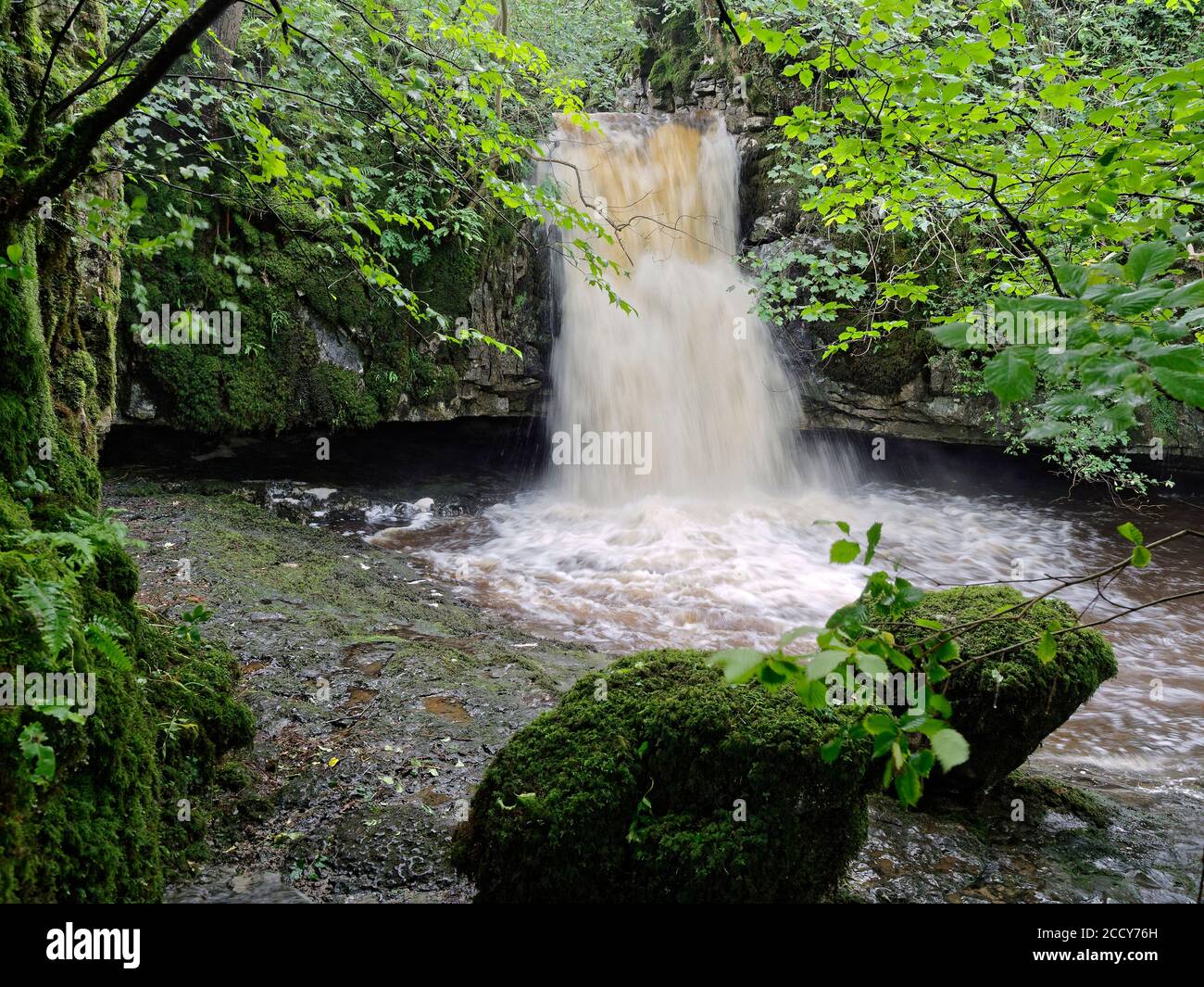 Les pittoresques chutes basses de Gastack Beck à Deepdale, près du village de Dent, dans le parc national de Yorkshire Dales, en Angleterre. Banque D'Images