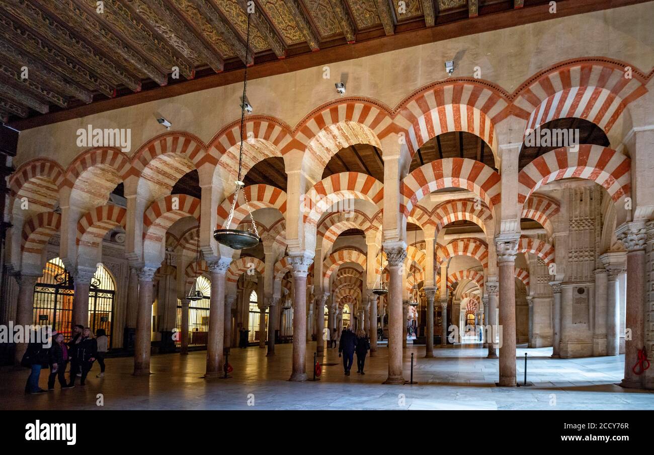 Hall à colonnes avec arcades en style mauresque, salle de prière de l'ancienne mosquée, Mezquita-Catedral de Cordoba ou la cathédrale de la conception de notre Banque D'Images