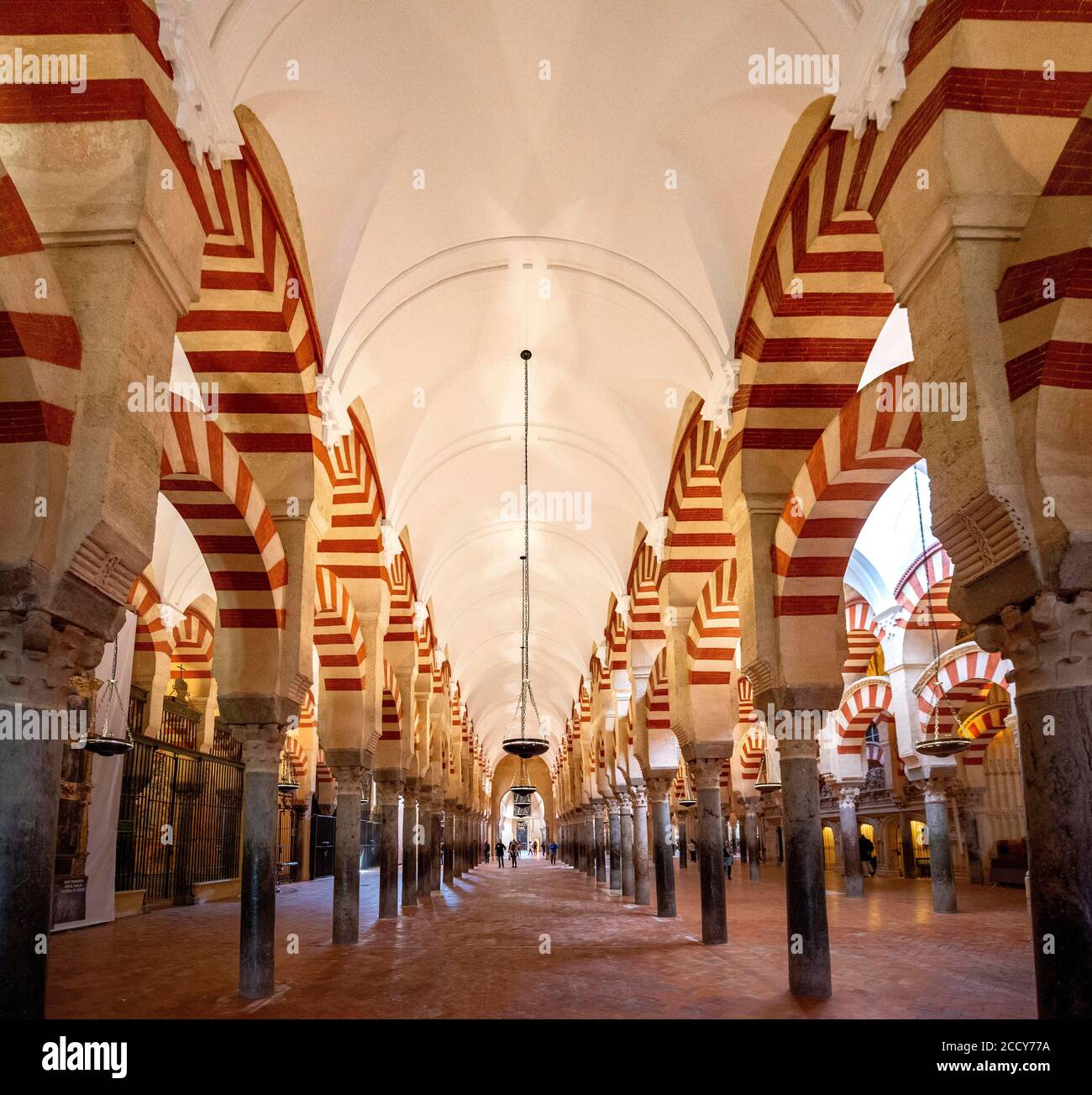 Hall à colonnes avec arcades en style mauresque, salle de prière de l'ancienne mosquée, Mezquita-Catedral de Cordoba ou la cathédrale de la conception de notre Banque D'Images