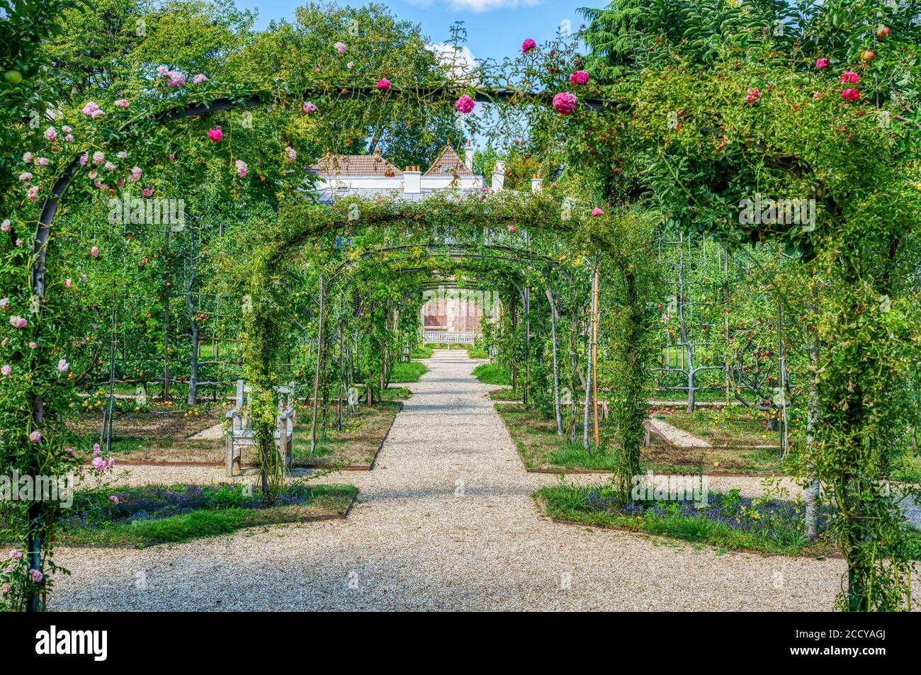 Jardin de roses dans le jardin Albert Kahn - Boulogne-Billancourt - France Banque D'Images