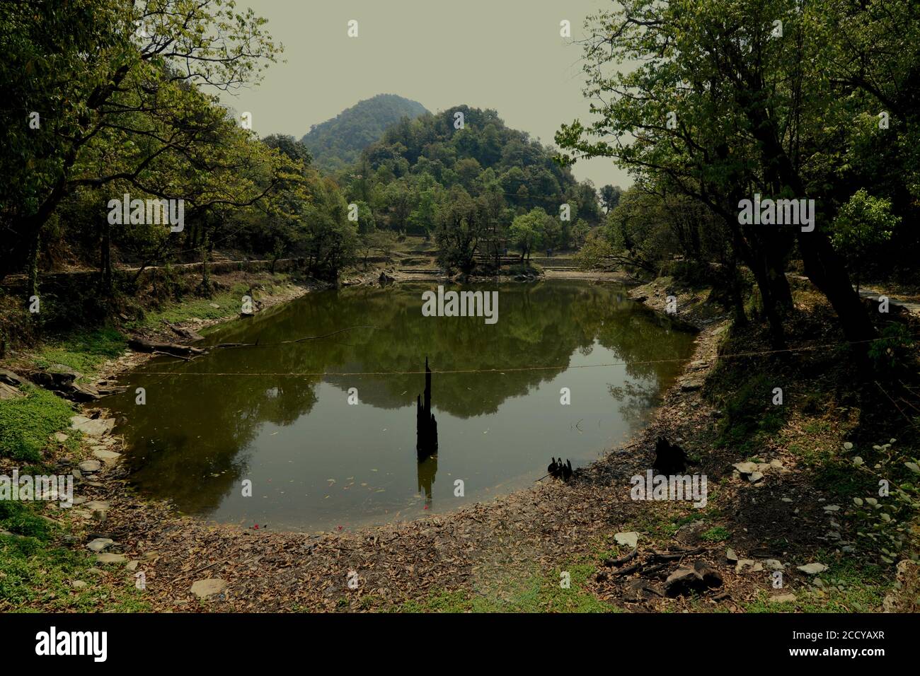 Bassin rétréci à l'un des sommets de la région montagneuse de Panchase, Gandaki Pradesh, Népal. Banque D'Images