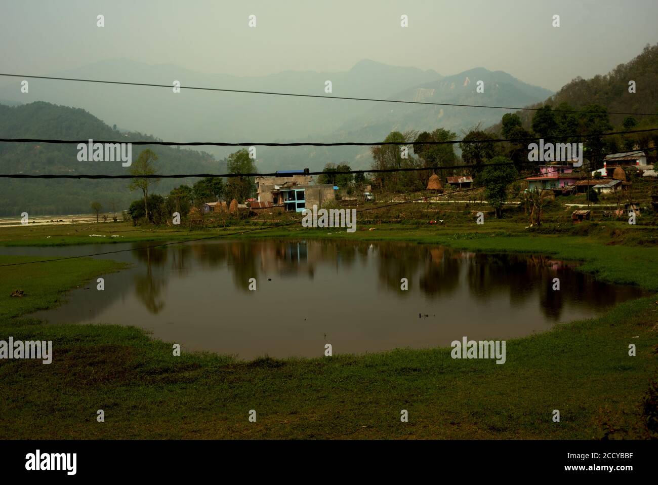 Une partie du lac Phewa qui souffre de sédimentation. Pokhara, Gandaki Pradesh, Népal. Banque D'Images